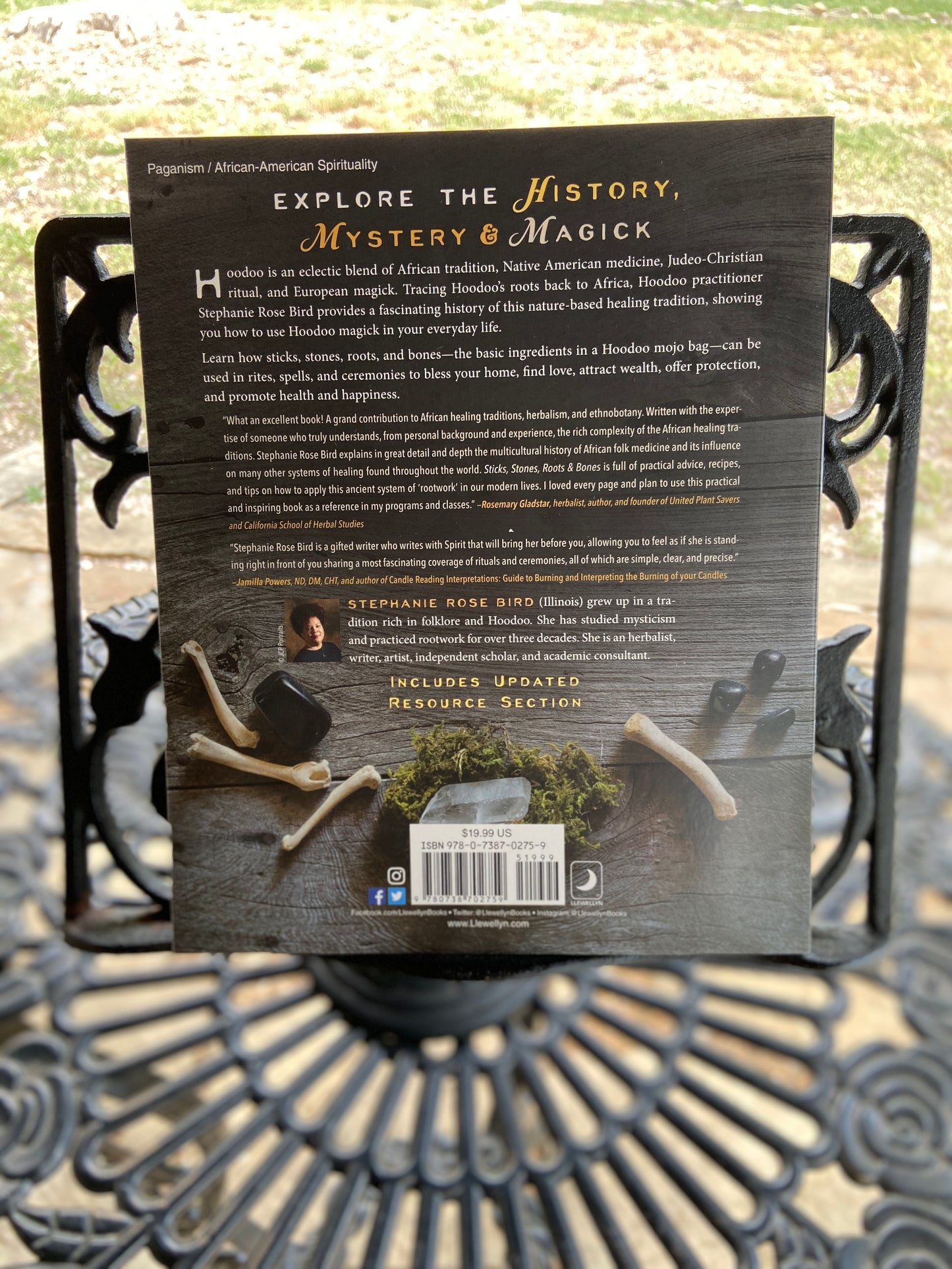 Sticks, Stones, Roots and Bones by Stephanie Rose Bird