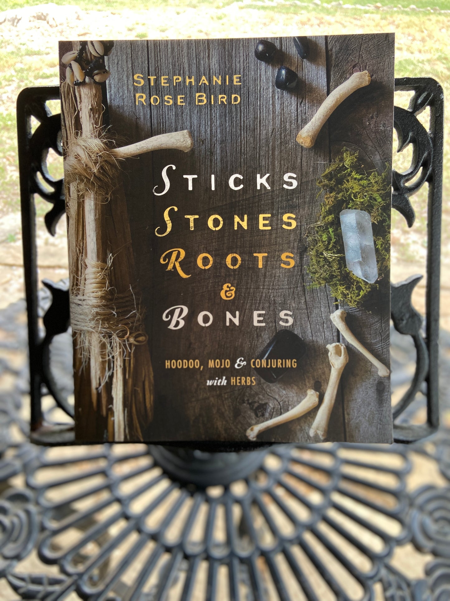 Sticks, Stones, Roots and Bones by Stephanie Rose Bird