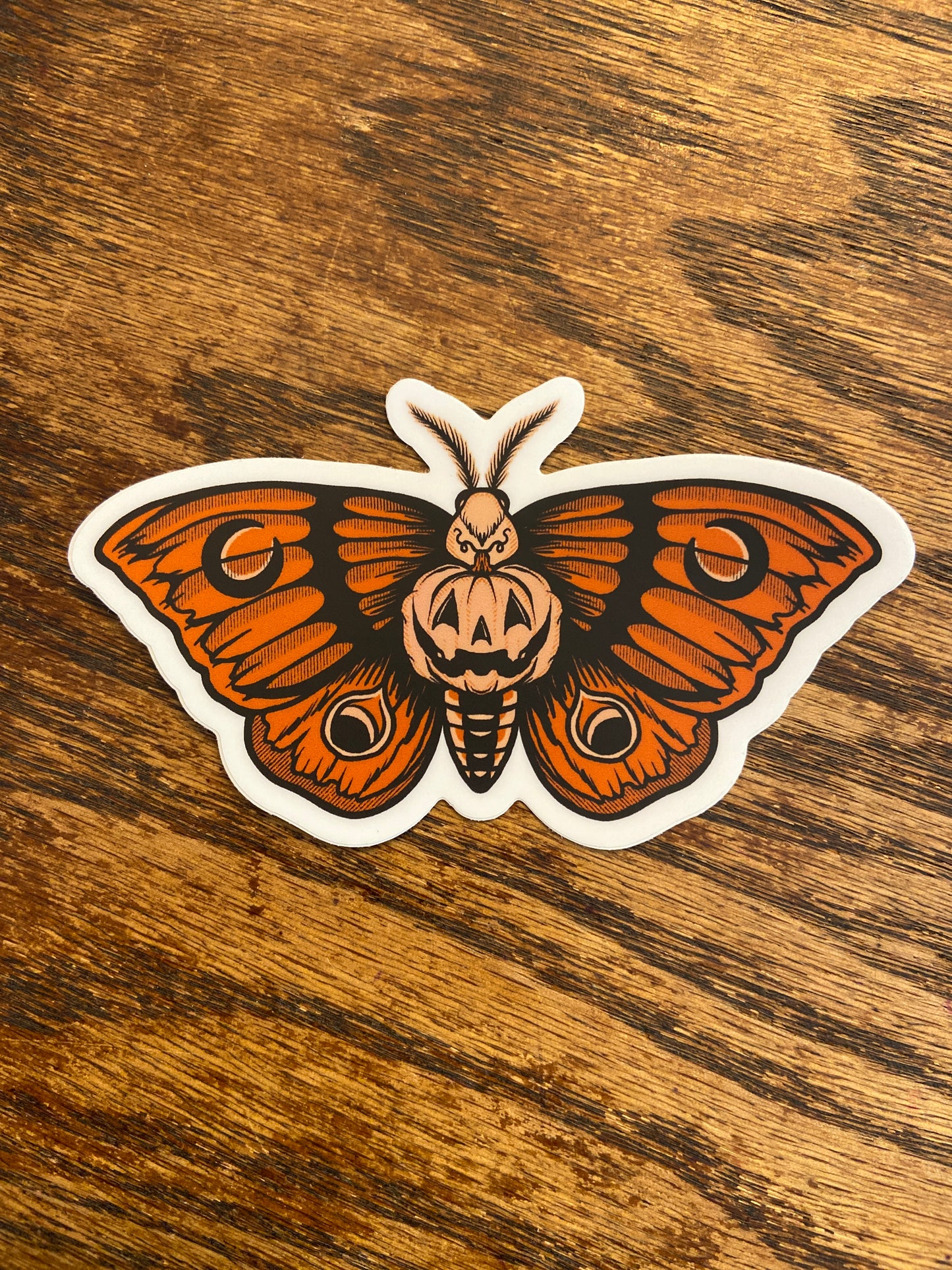 Pumpkin Moth Sticker