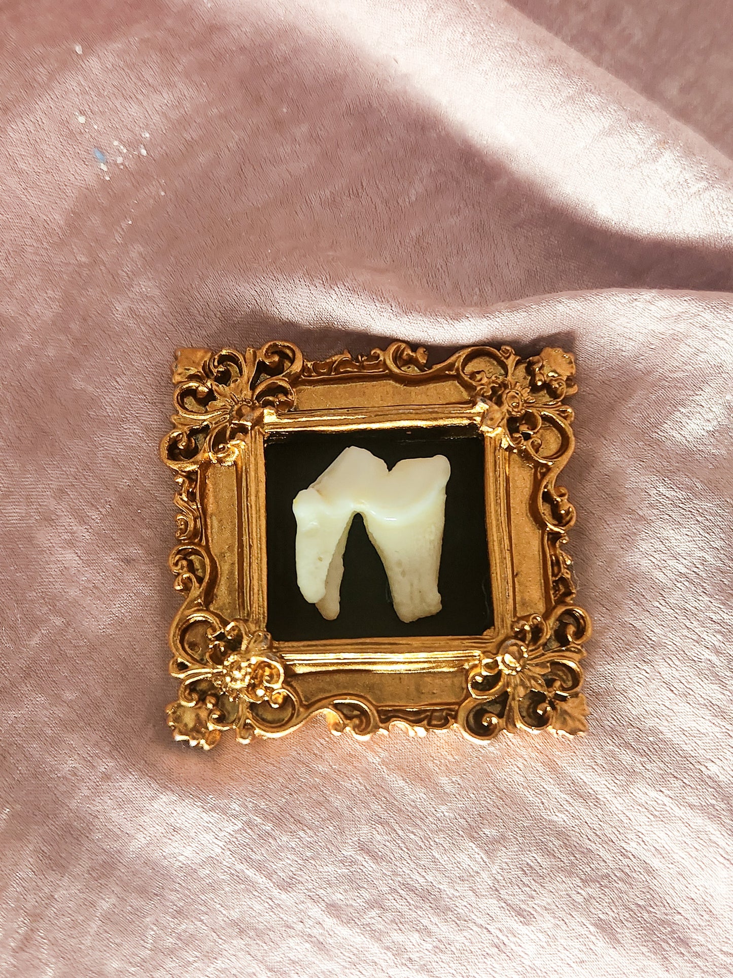 Gold Framed Animal Bone Magnet
