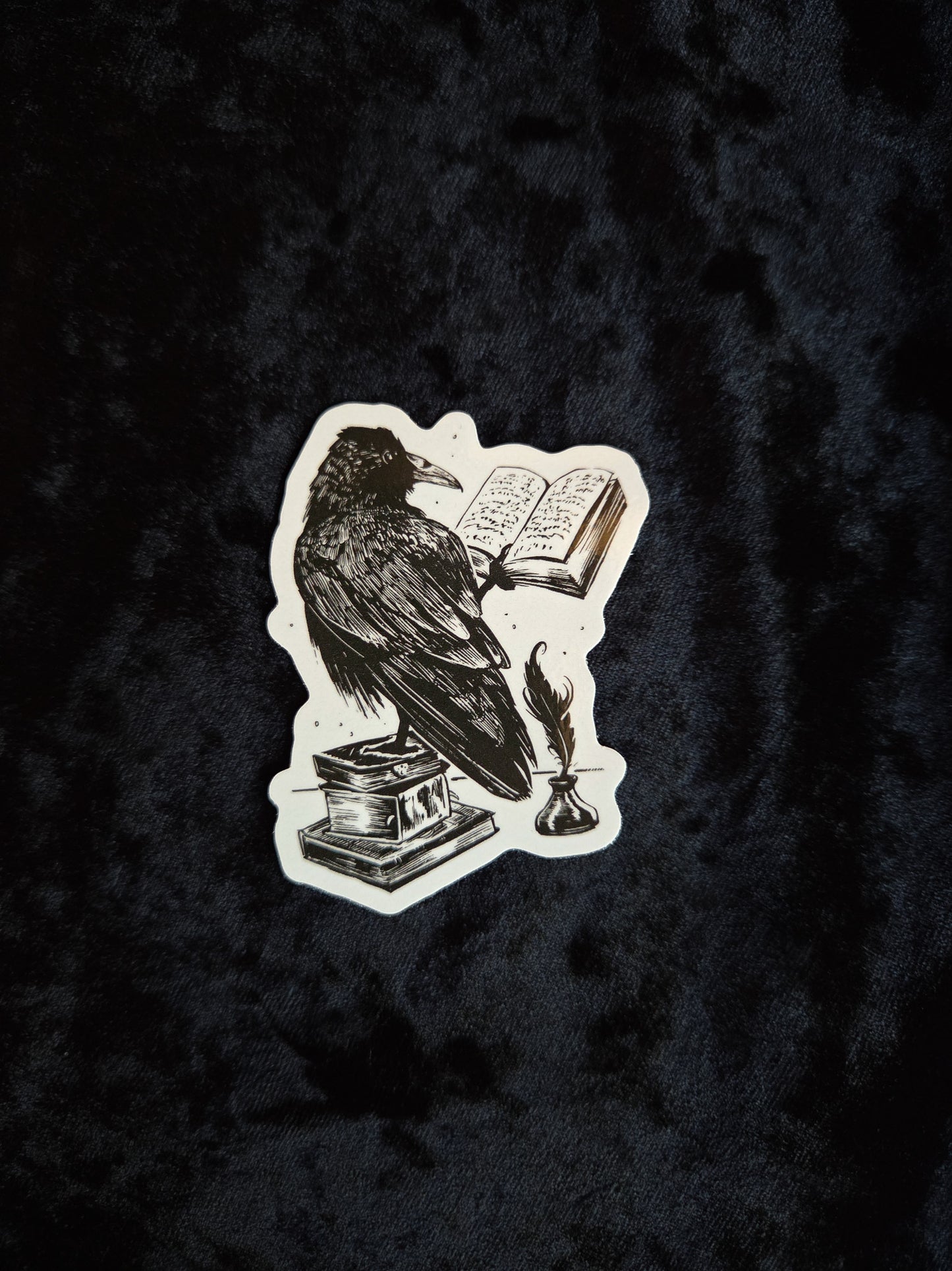 Black Ink Raven Reading A Book Sticker - 3"