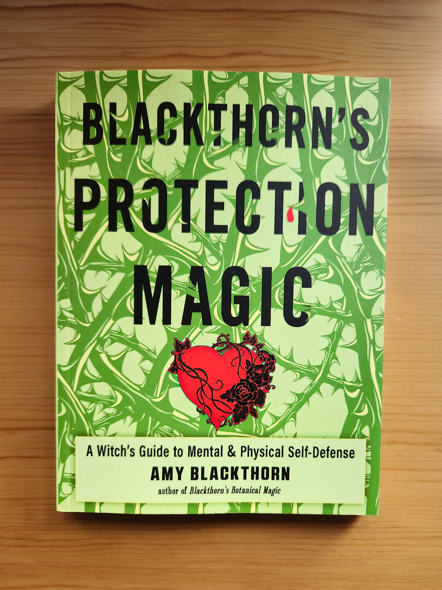 Blackthorn's Protection Magic: A Witch’S Guide To Defense by Amy Blackthorn