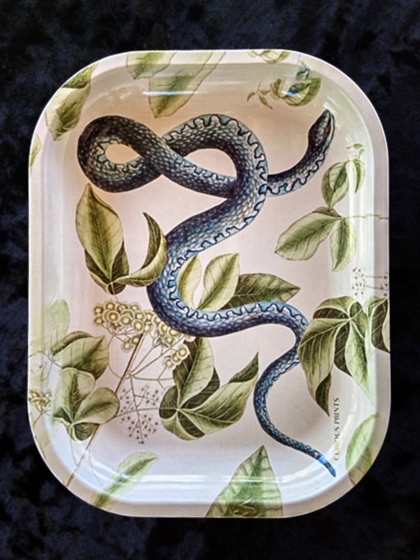 Blue Snake Altar Tray