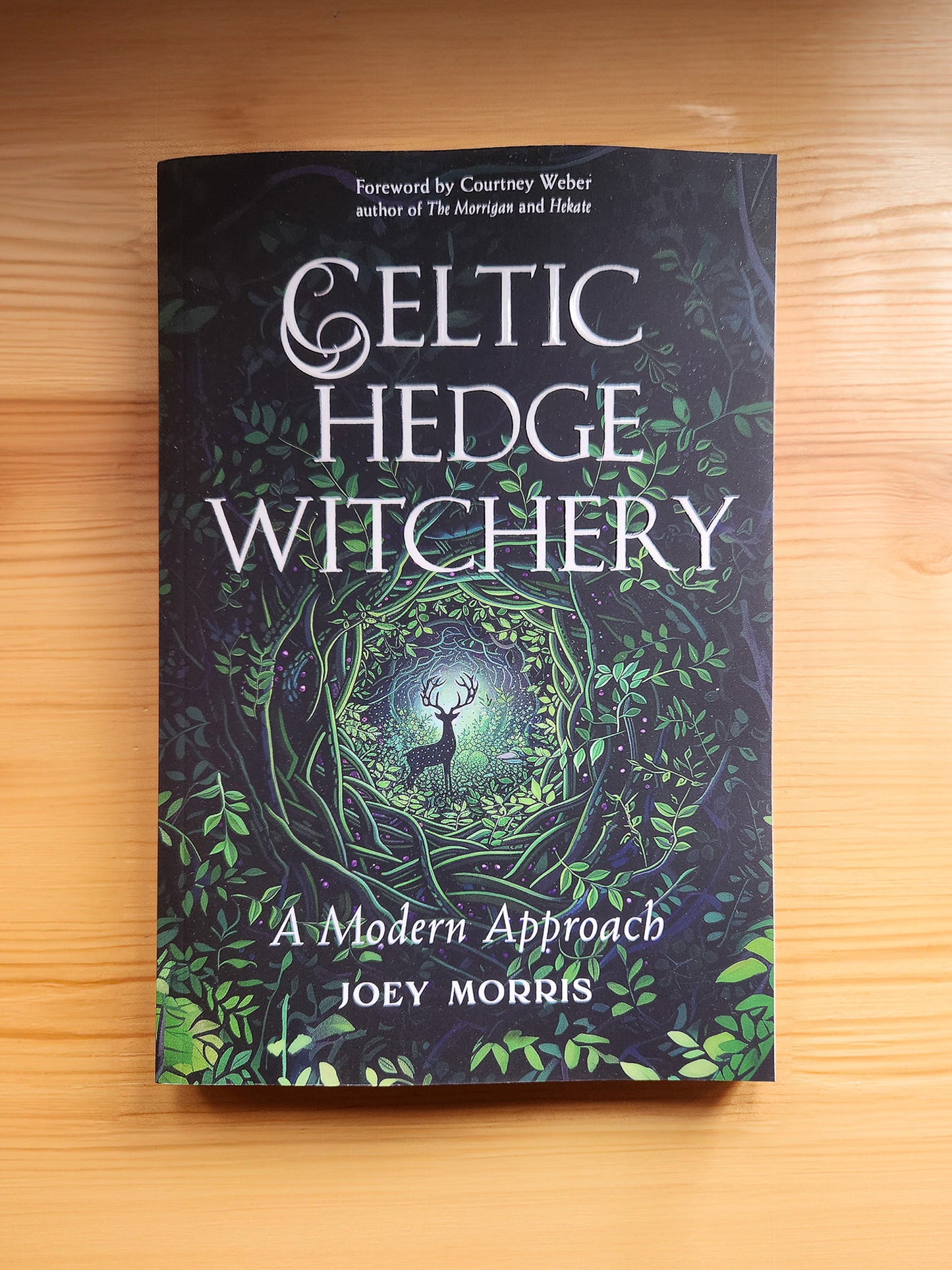 Celtic Hedge Witchery—A Modern Approach by Joey Morries