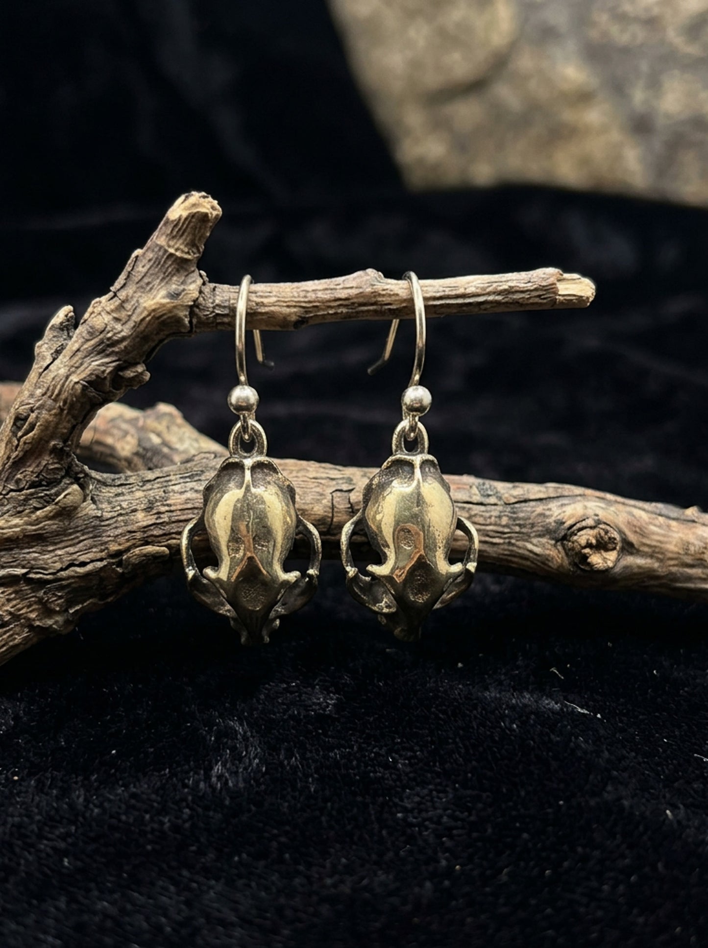Domestic Cat Skull Earrings