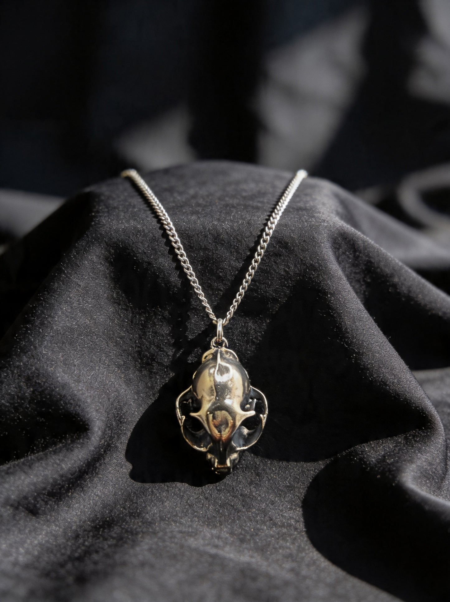 Domestic Cat Skull Necklace