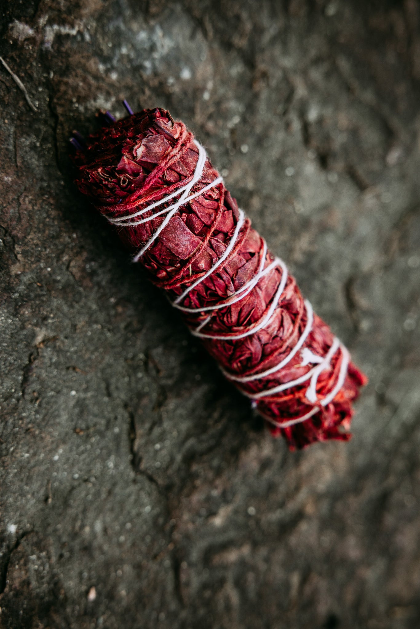 Dragon's Blood Sage with Lavender Bundle