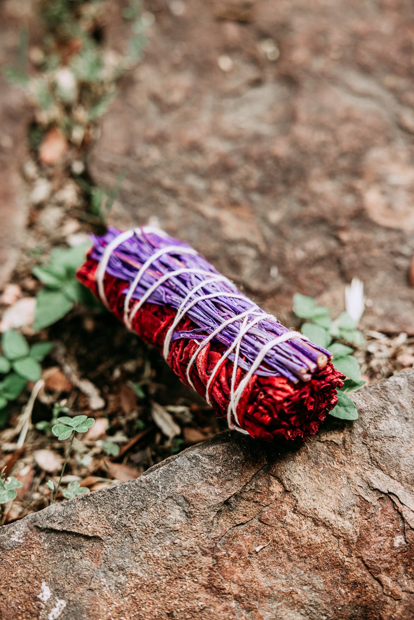 Dragon's Blood Sage with Lavender Bundle