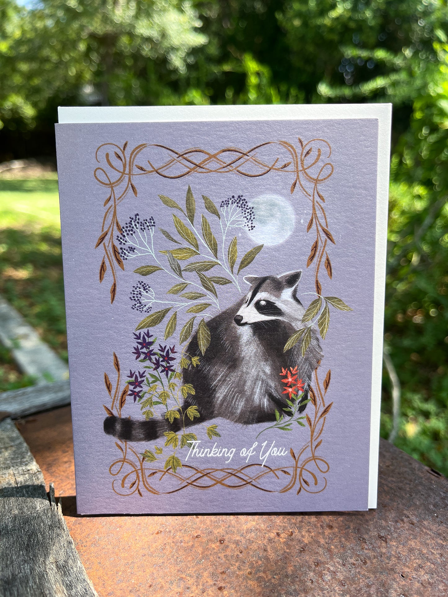 Greeting Card: Thinking of You - Raccoon