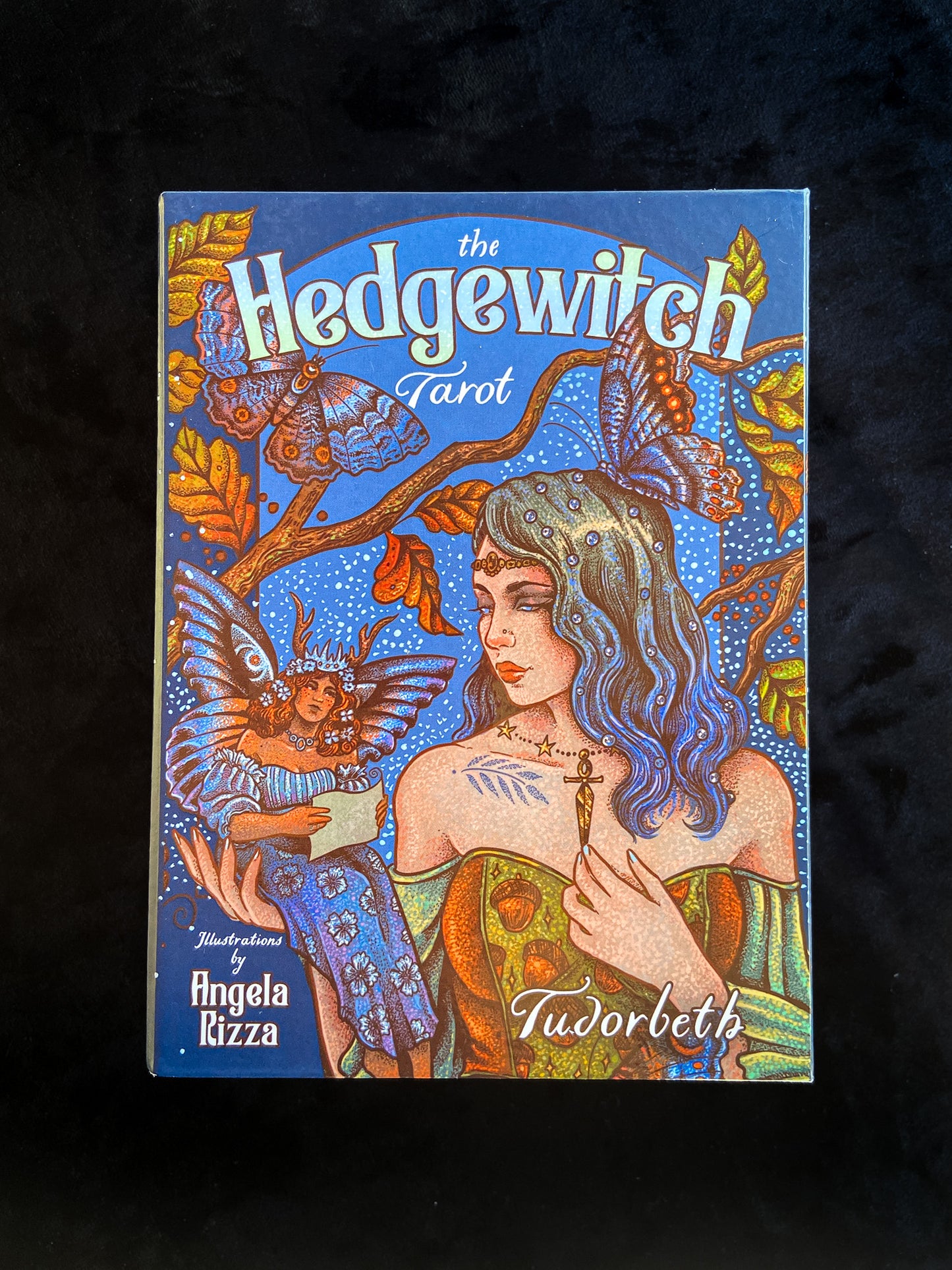 The Hedgewitch Tarot by Tudorbeth