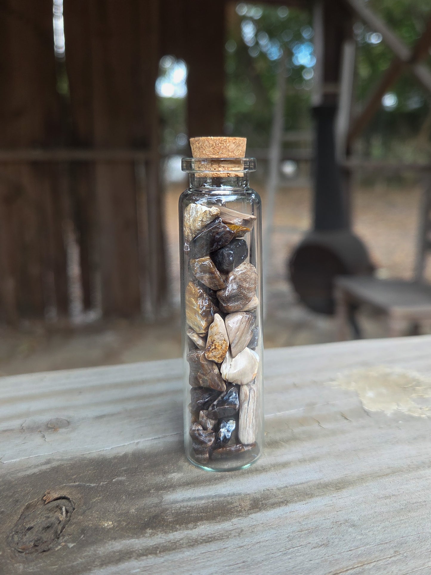 Petrified Wood Crystal Chip Jar