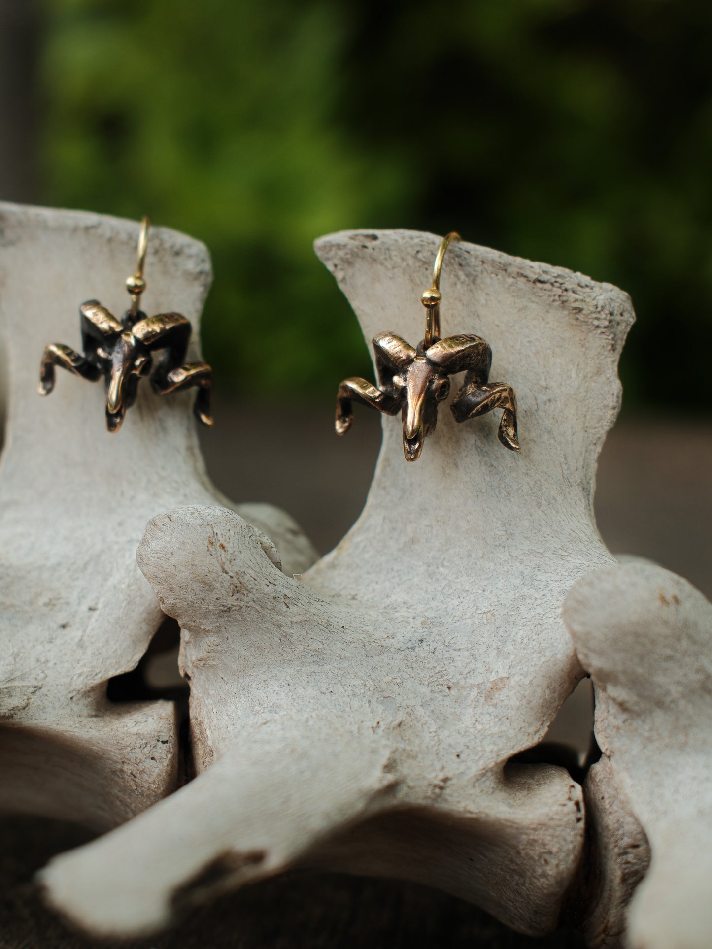 Merino Ram Skull Earrings