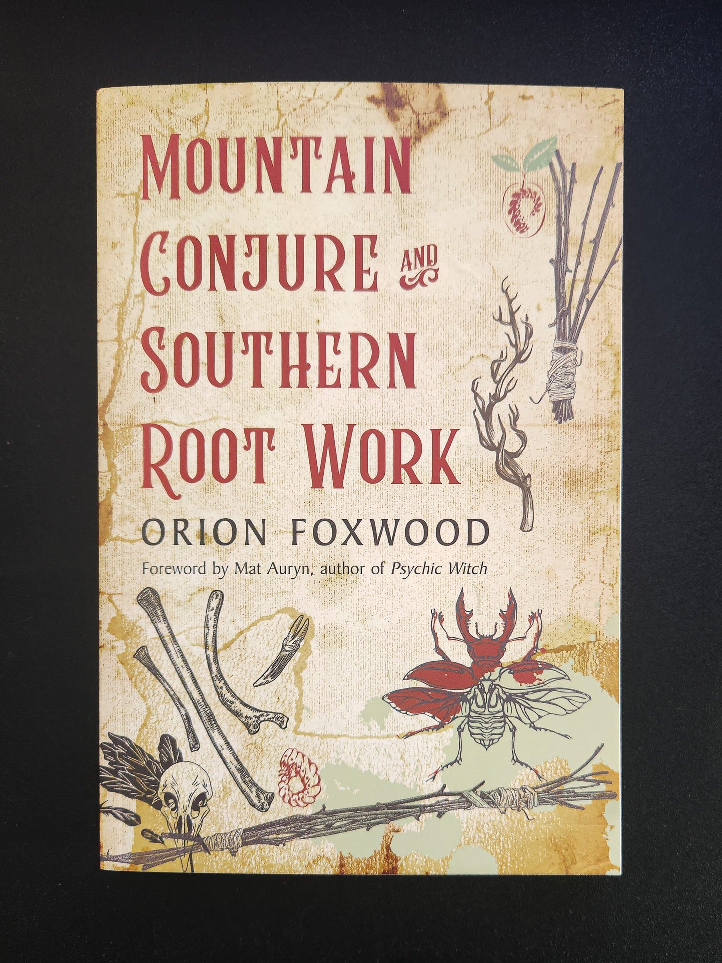 Mountain Conjure and Southern Root Work by Orion Foxwood
