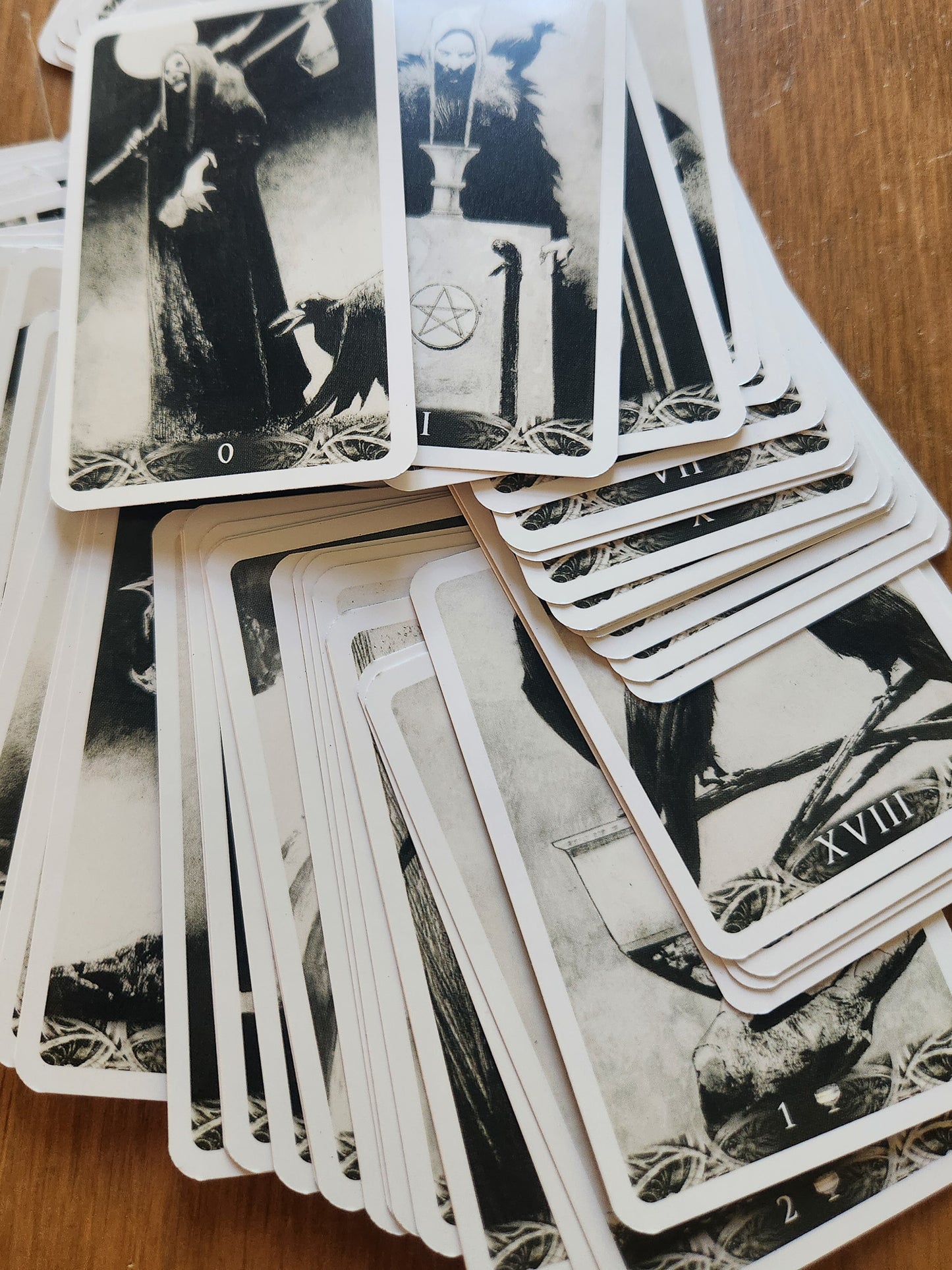 Murder of Crows Tarot Mini by Corrado Roi