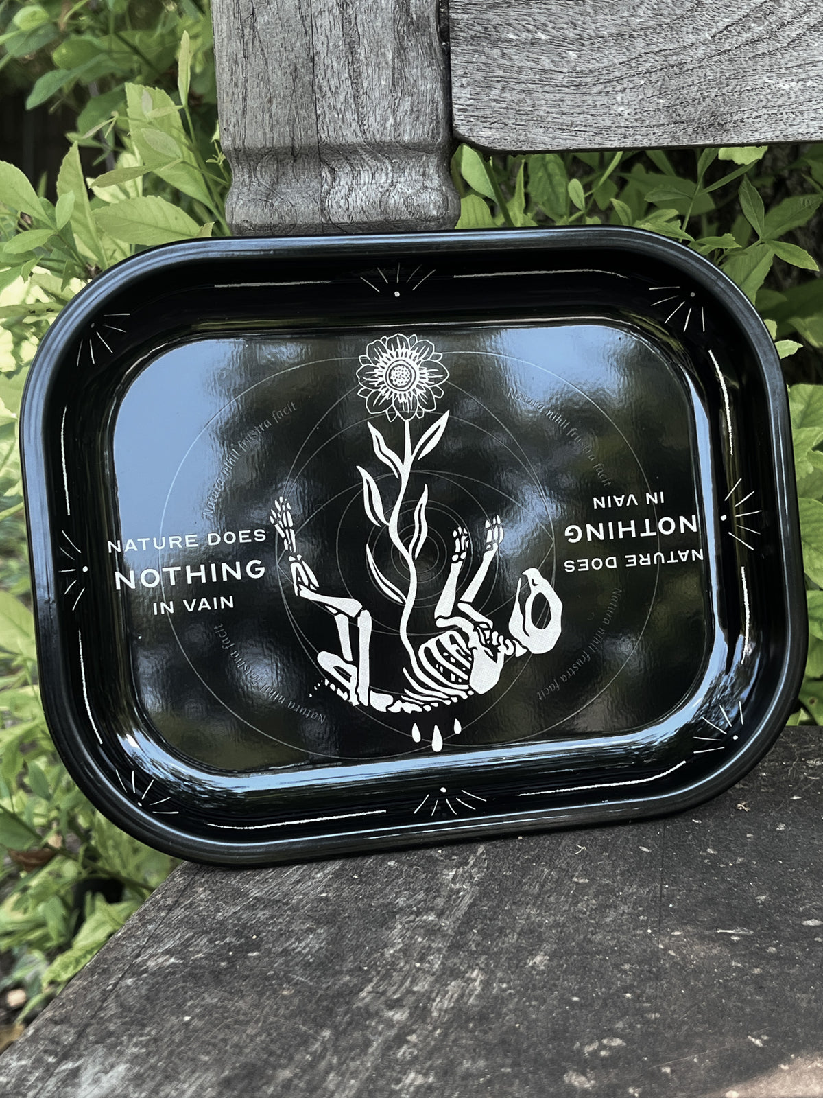 Nature Does Nothing in Vain Rabbit Skeleton Tray