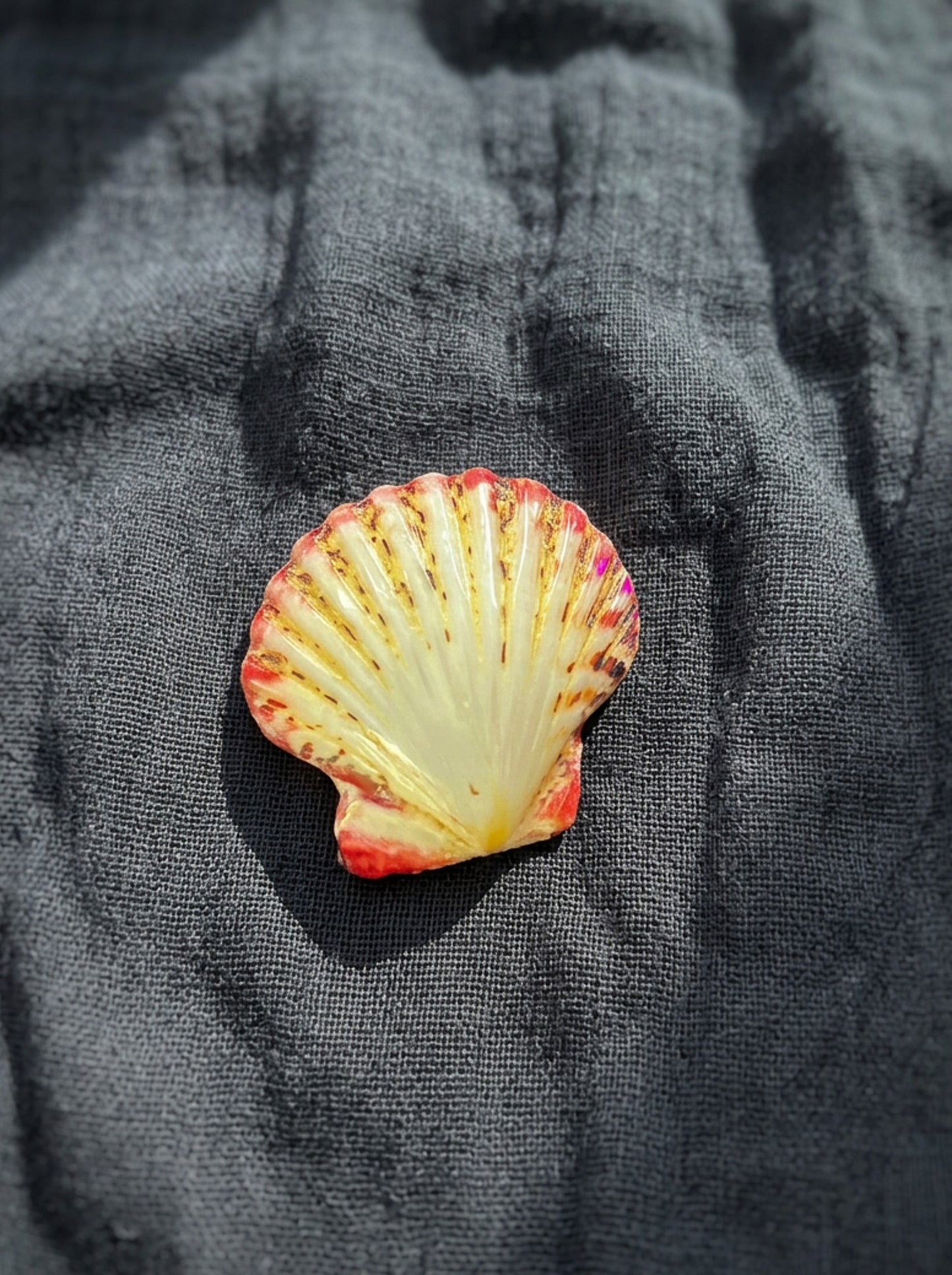 Assorted Shells (choose one)