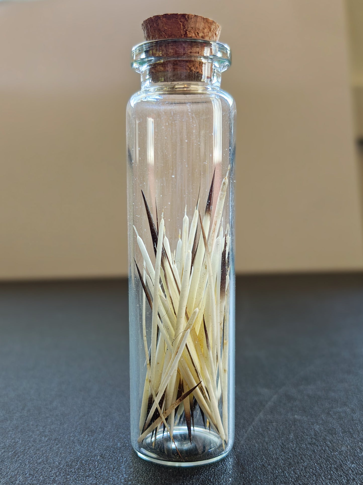 Mini Porcupine Quill Spell Jar