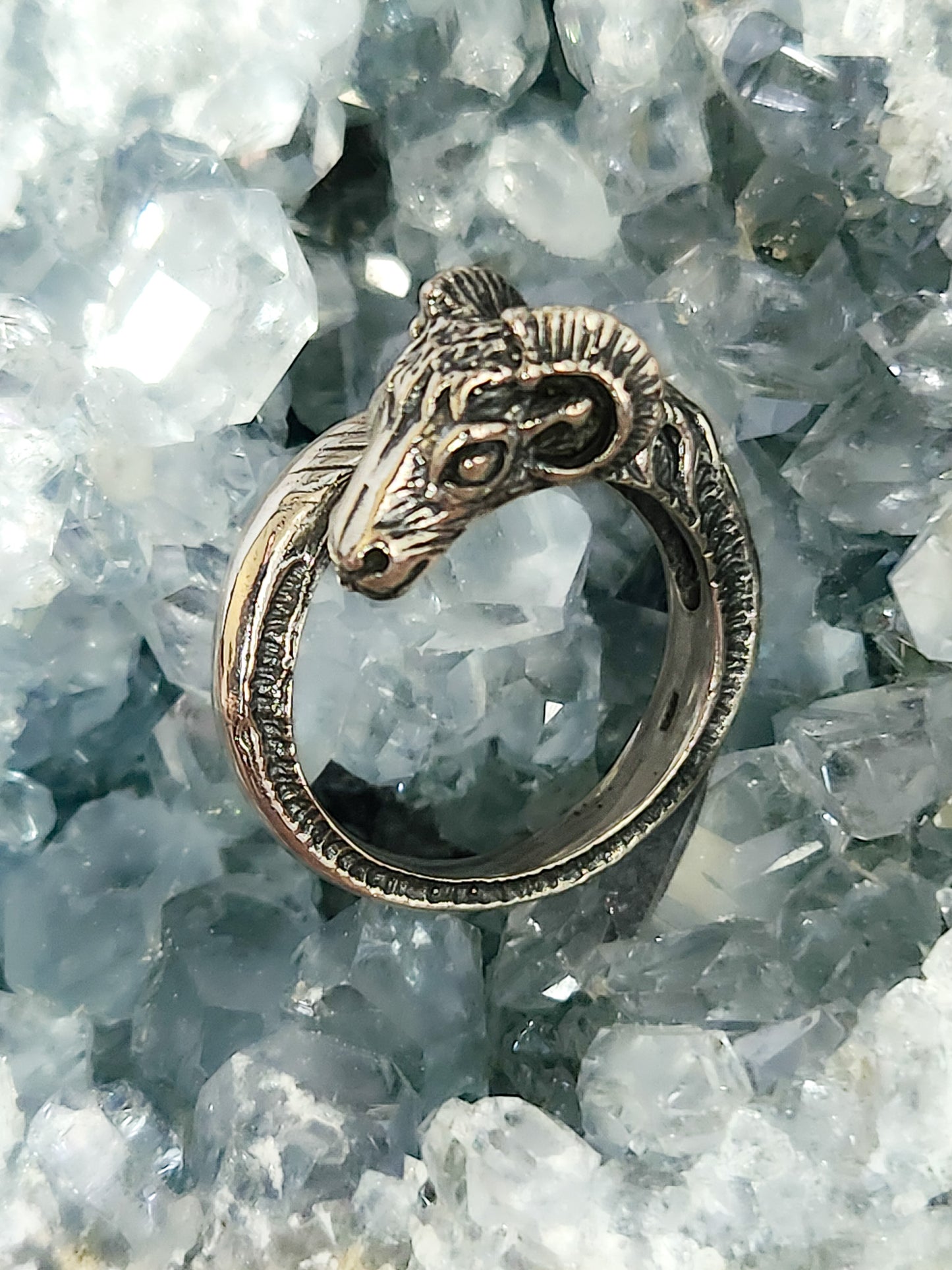 Ram Ring