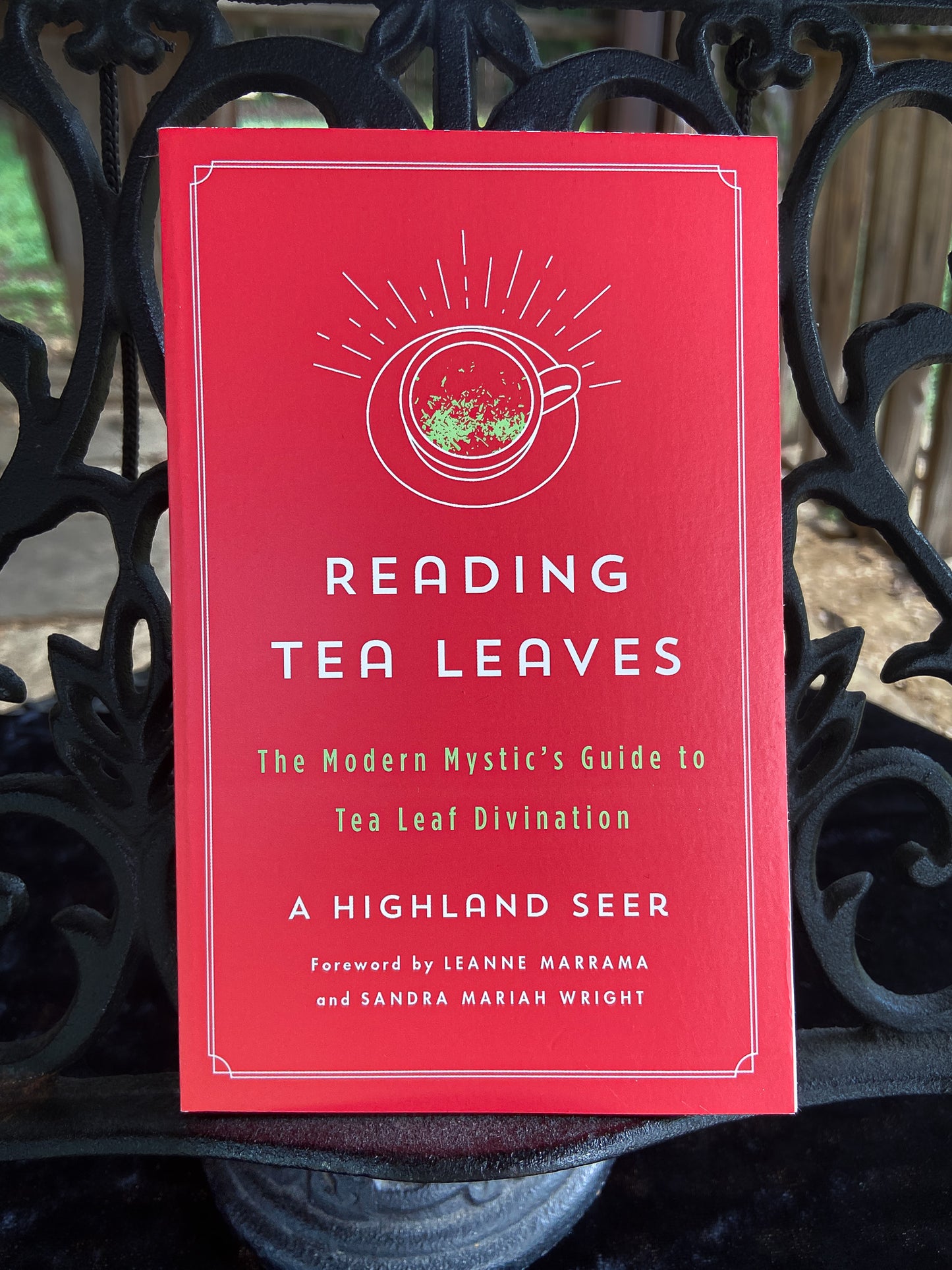 Reading Tea Leaves: The Modern Mystic's Guide to Tea Leaf Divination by Leanne Marrama and Sandra Mariah Wright