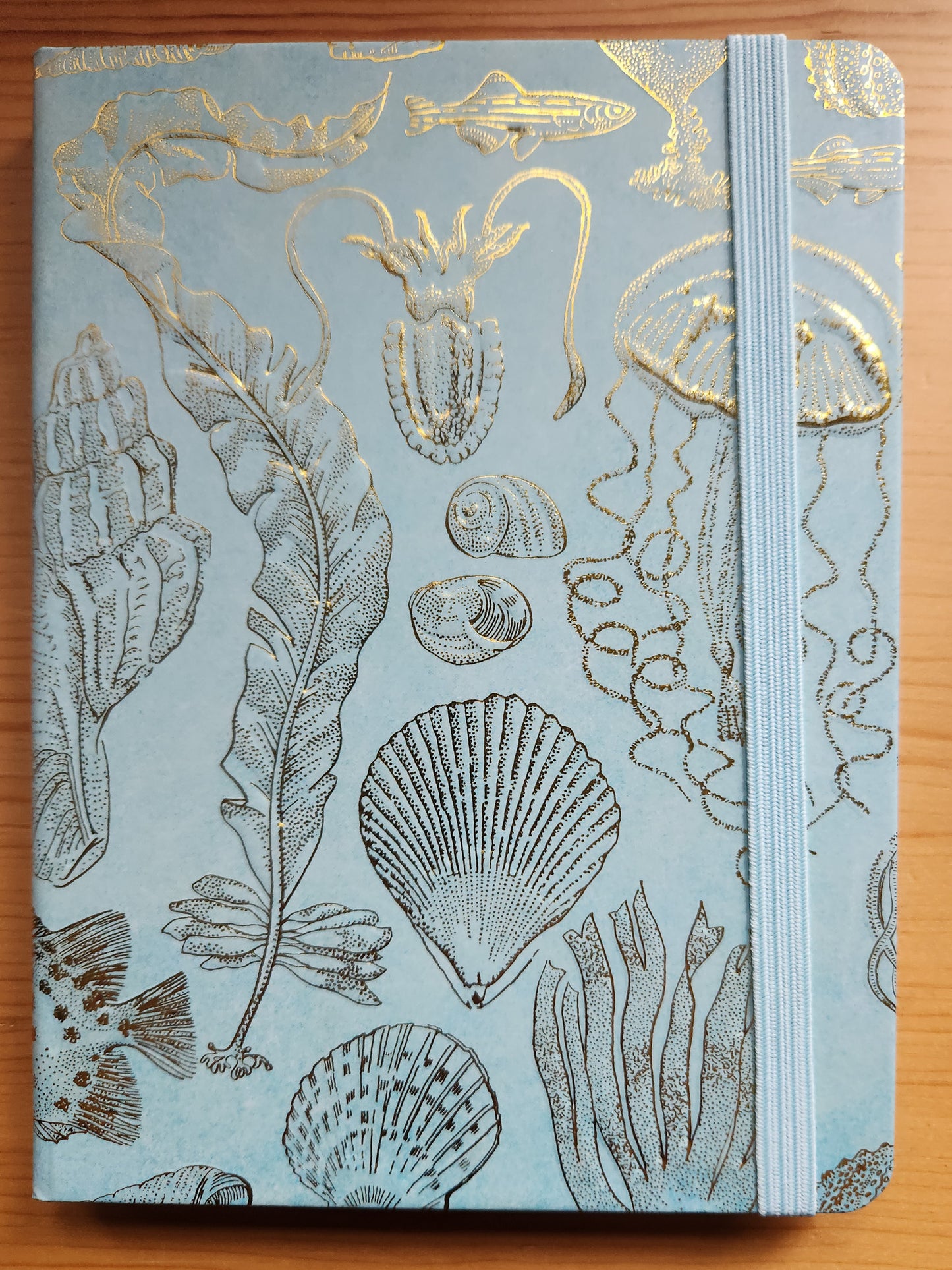 Sealife Sketches Journal