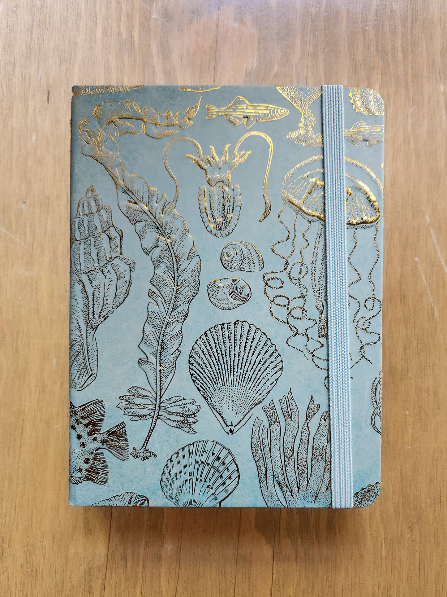 Sealife Sketches Journal