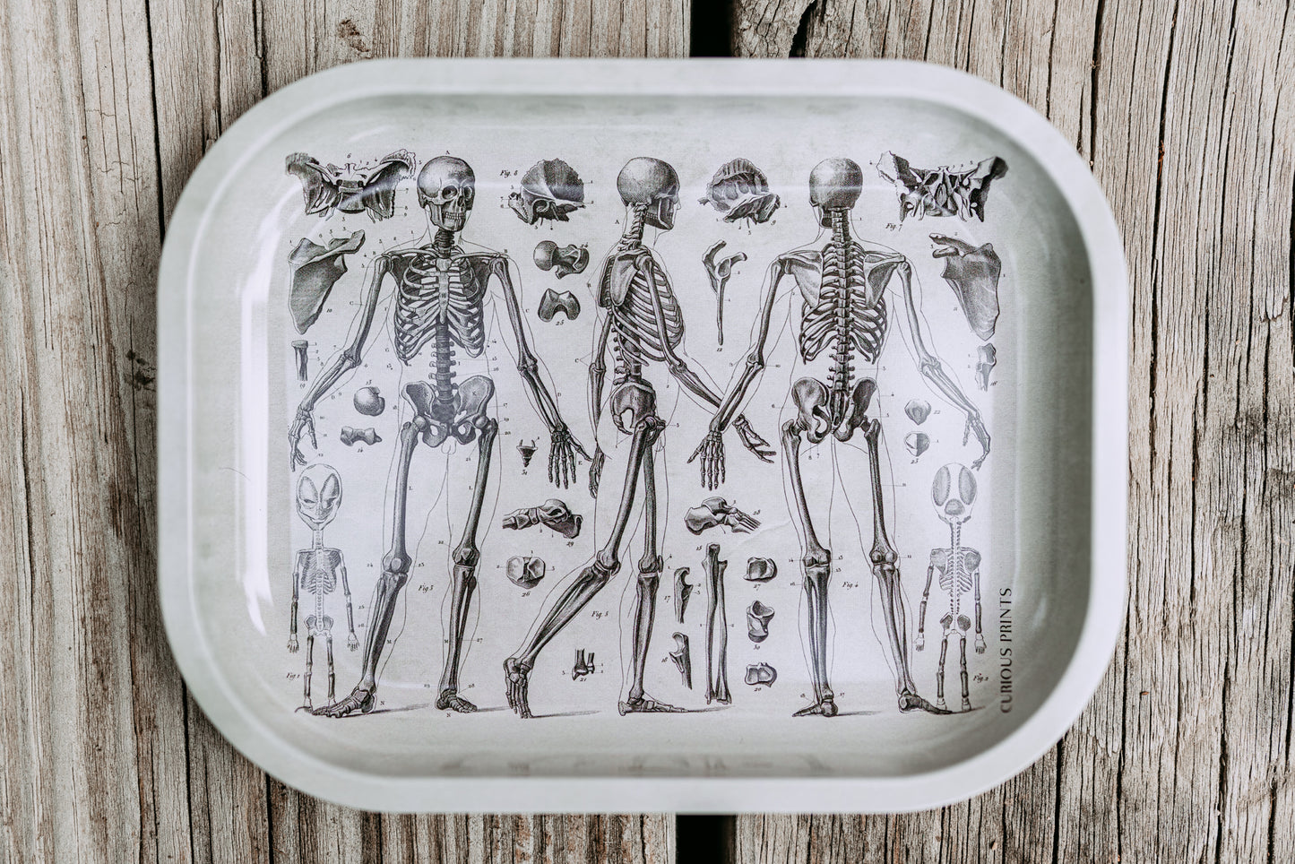 Grey Skeleton Altar Tray