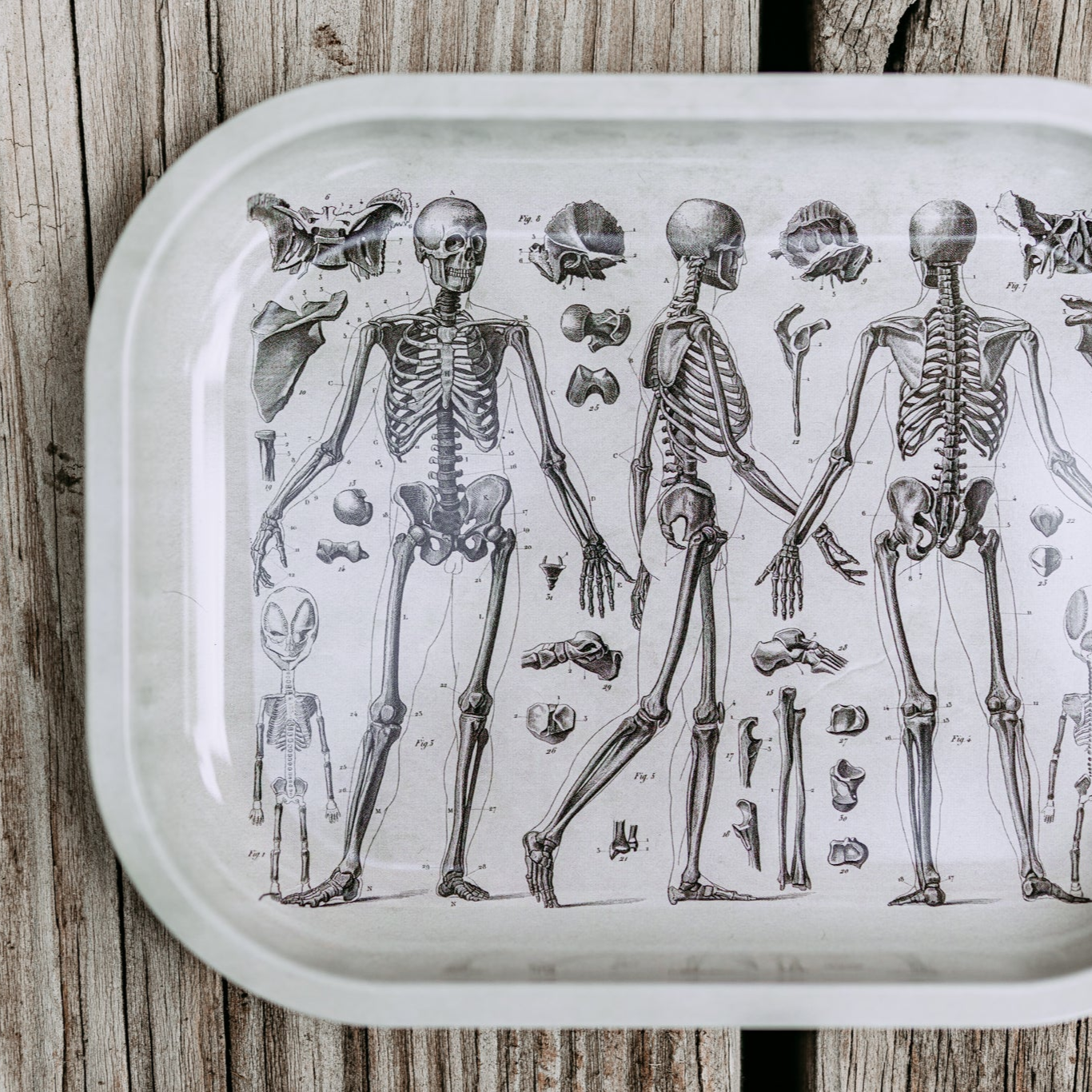 Grey Skeleton Altar Tray
