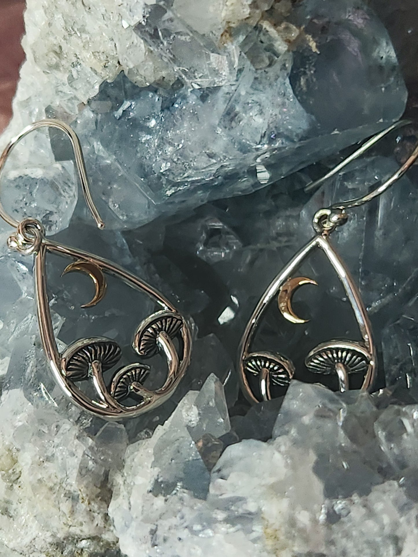 Teardrop Mushroom and Moon Dangle Earrings