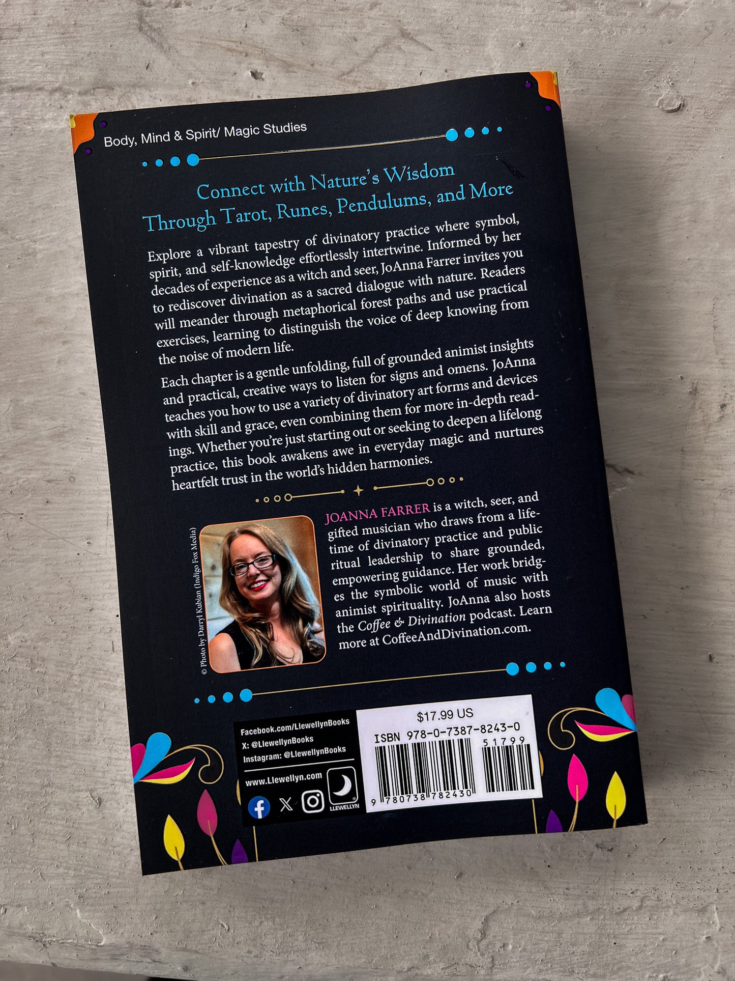 The Diviner's Path By JoAnn Farrer