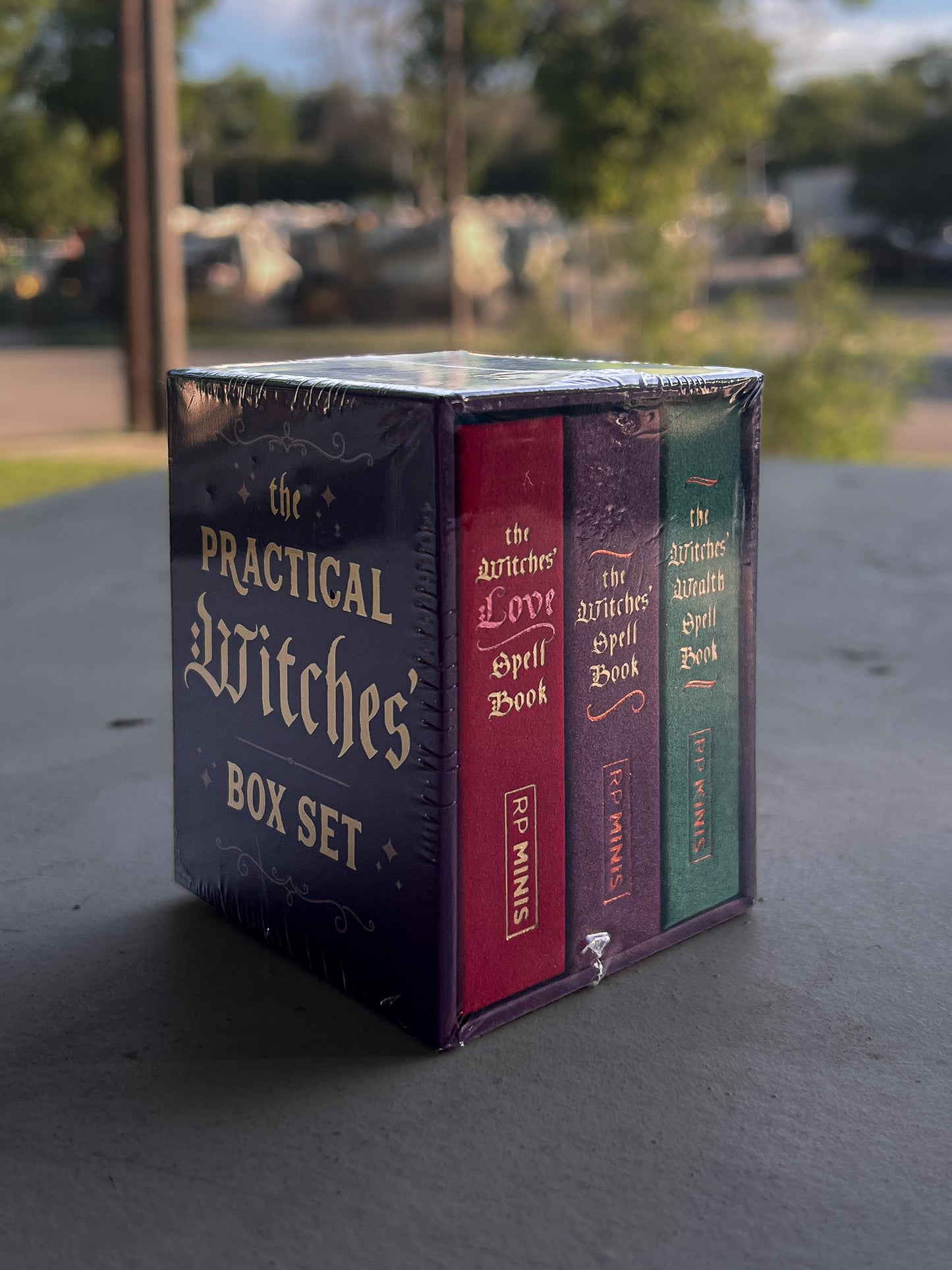 The Practical Witches' Box Set
