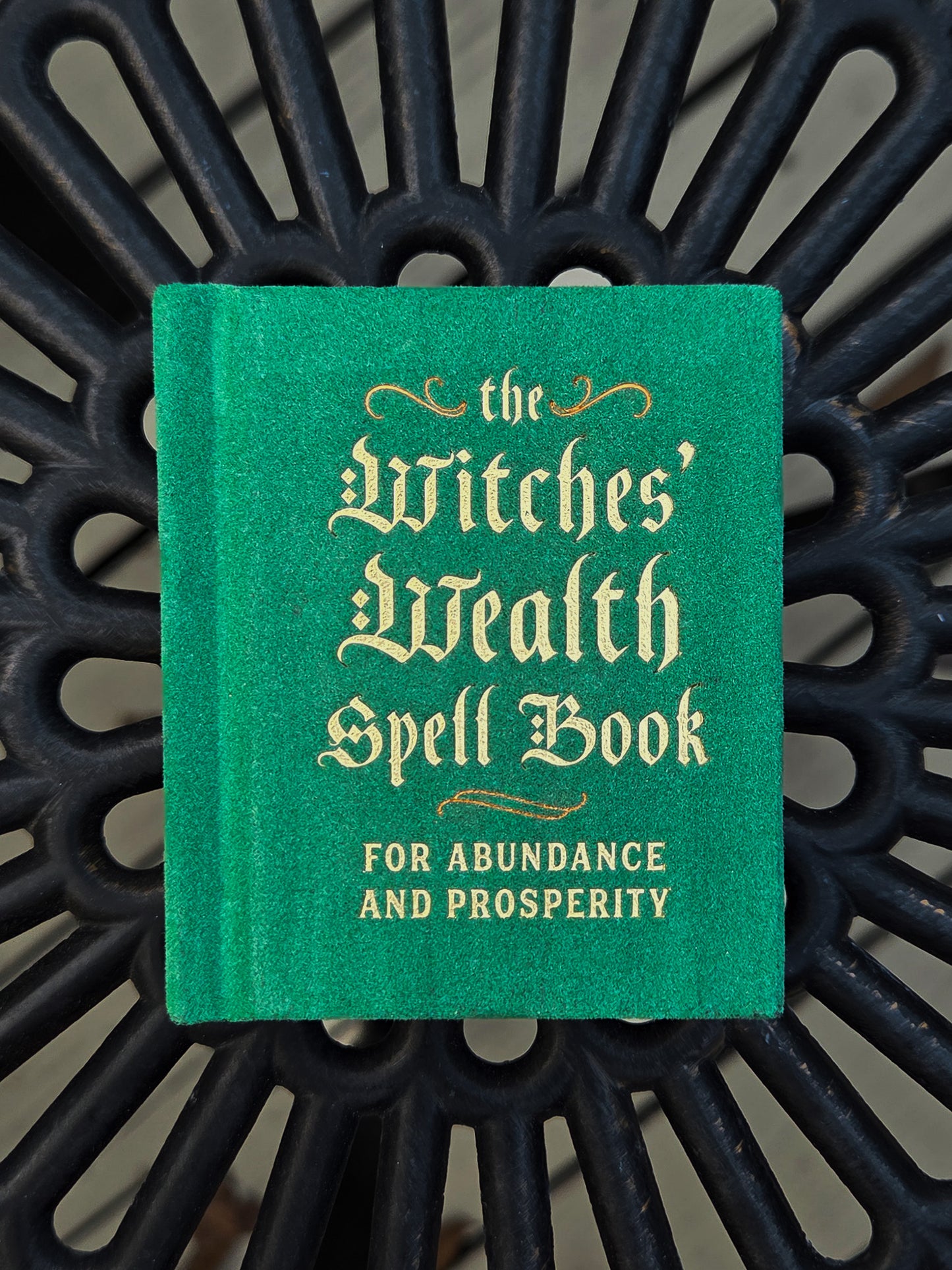 Witches' Wealth Spell Book: For Abundance and Prosperity