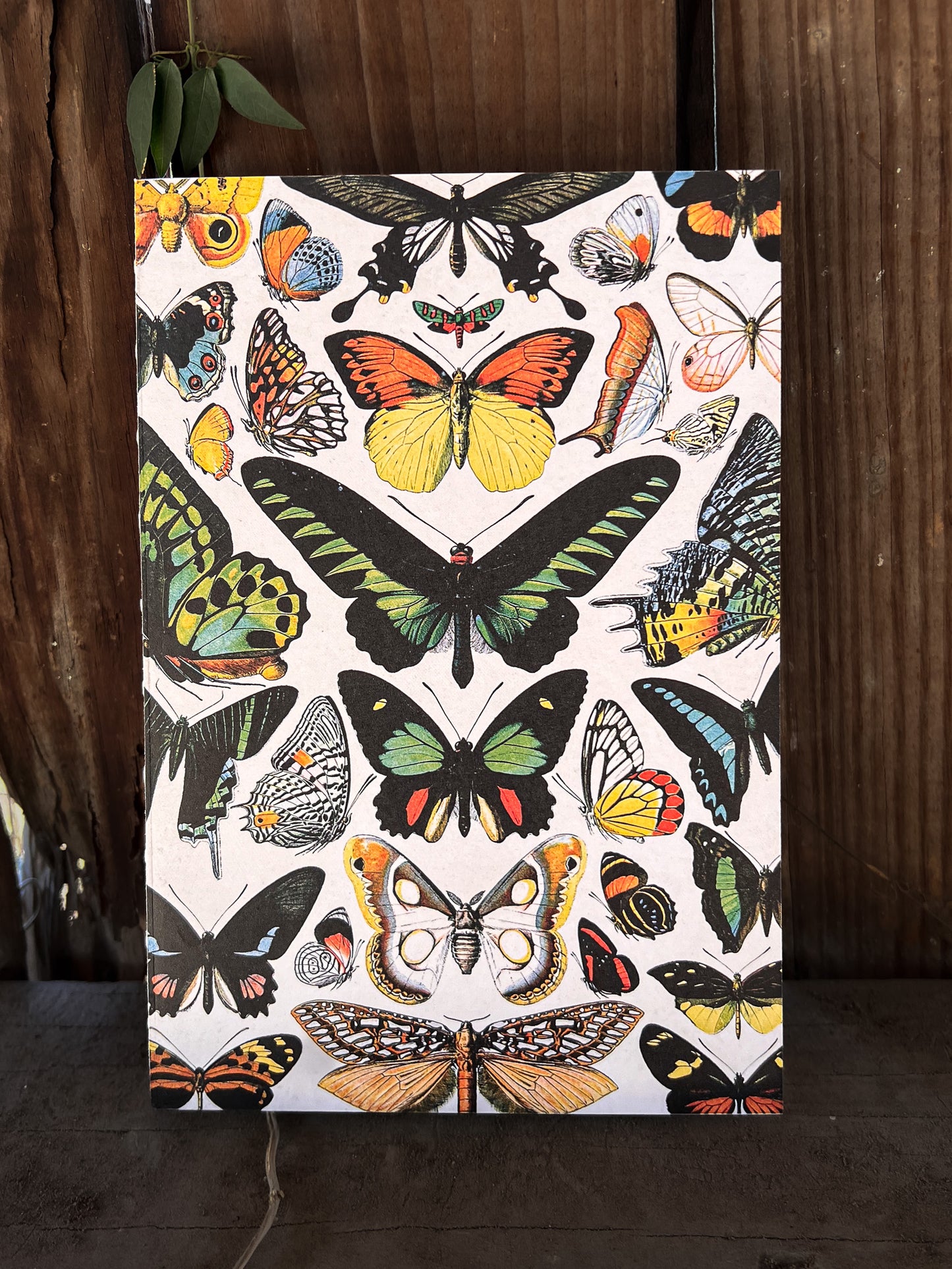 Vintage Butterfly Notebook