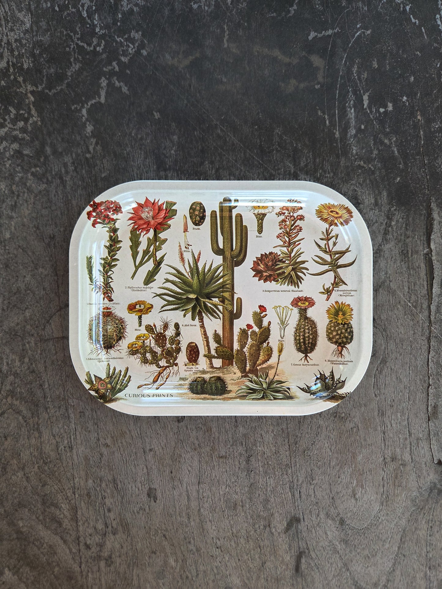 White Cactus Altar Tray