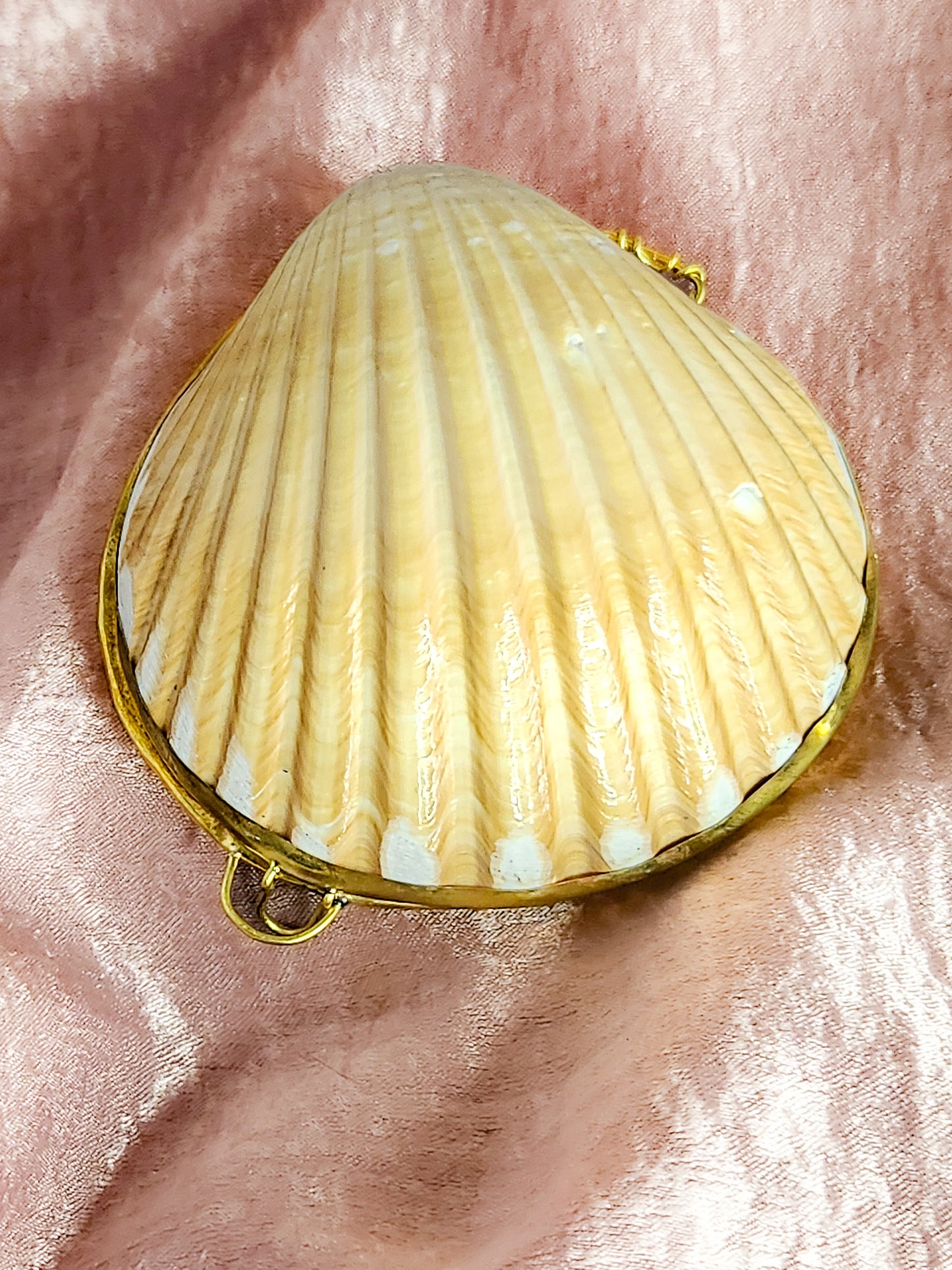 Yellow Shell Coin Purse