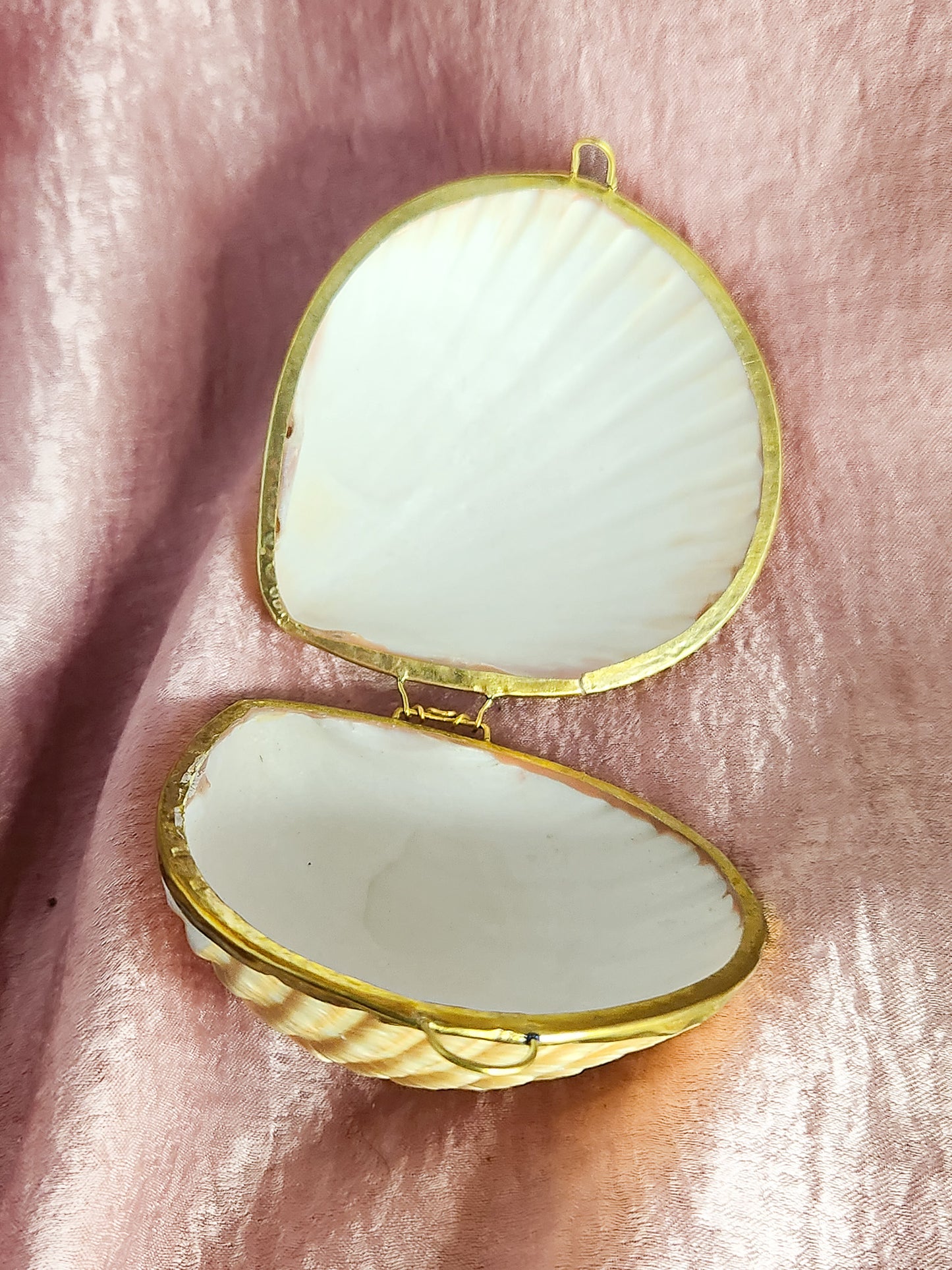 Yellow Shell Coin Purse