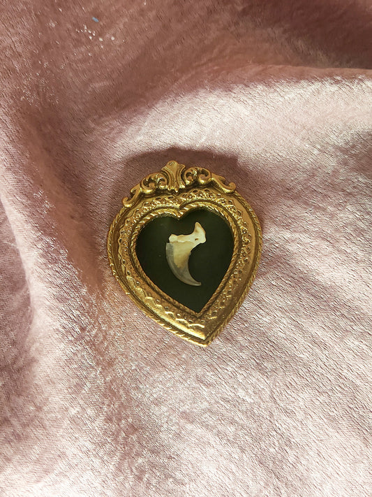 Gold Framed Animal Bone Magnet