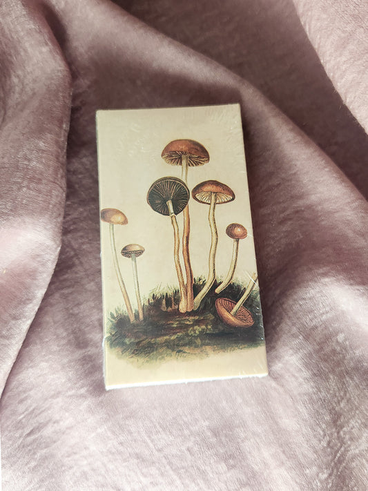 Mushrooms Matchbox