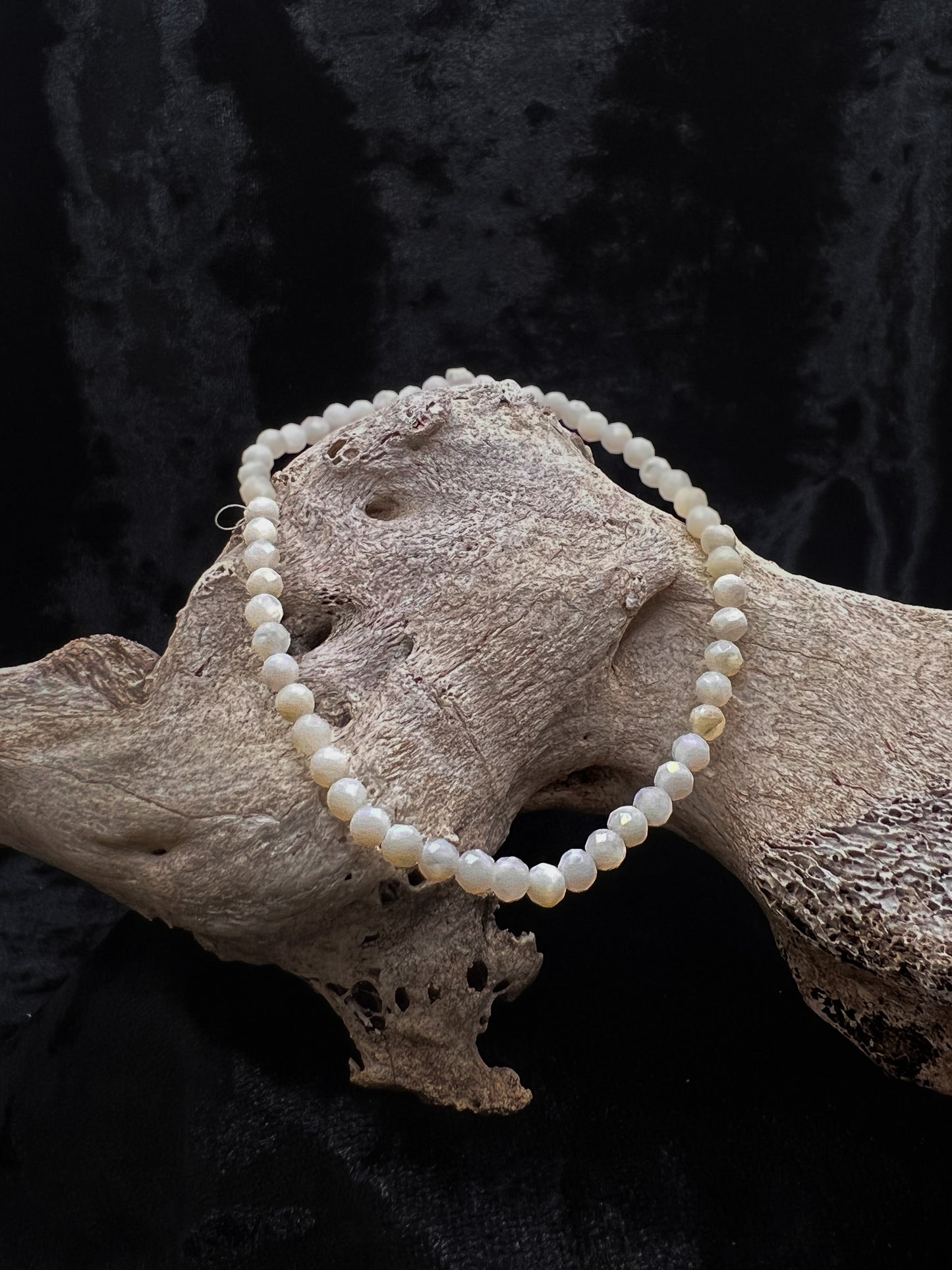 Shell Bracelet