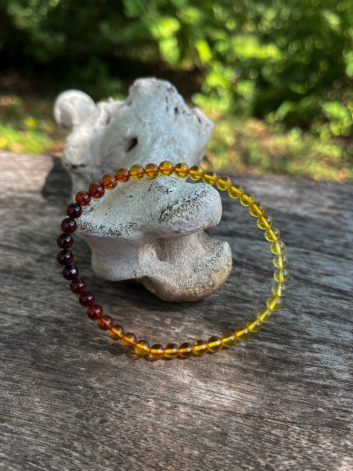Amber Bracelet (Multiple Styles)
