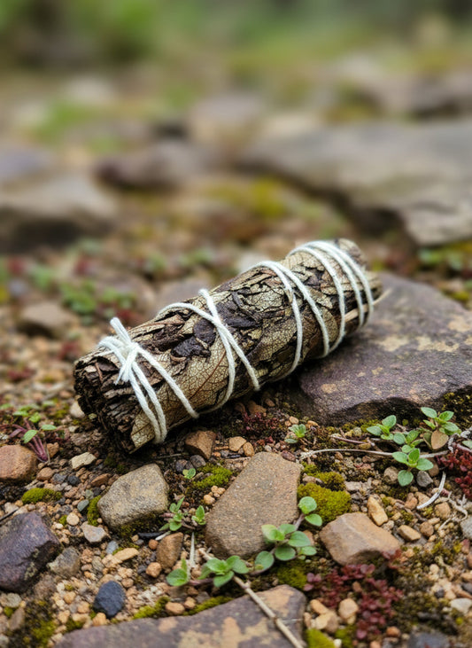 Black Sage Smudge Stick (4 in.)