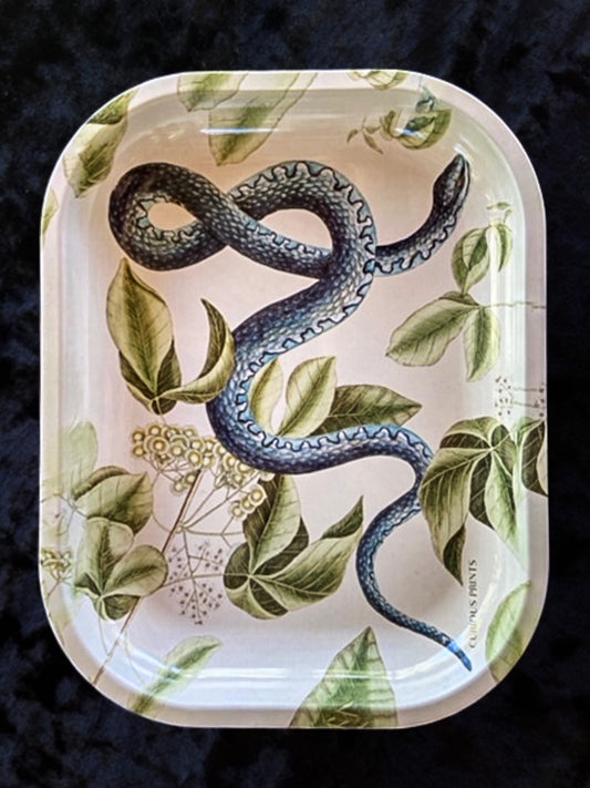 Blue Snake Altar Tray