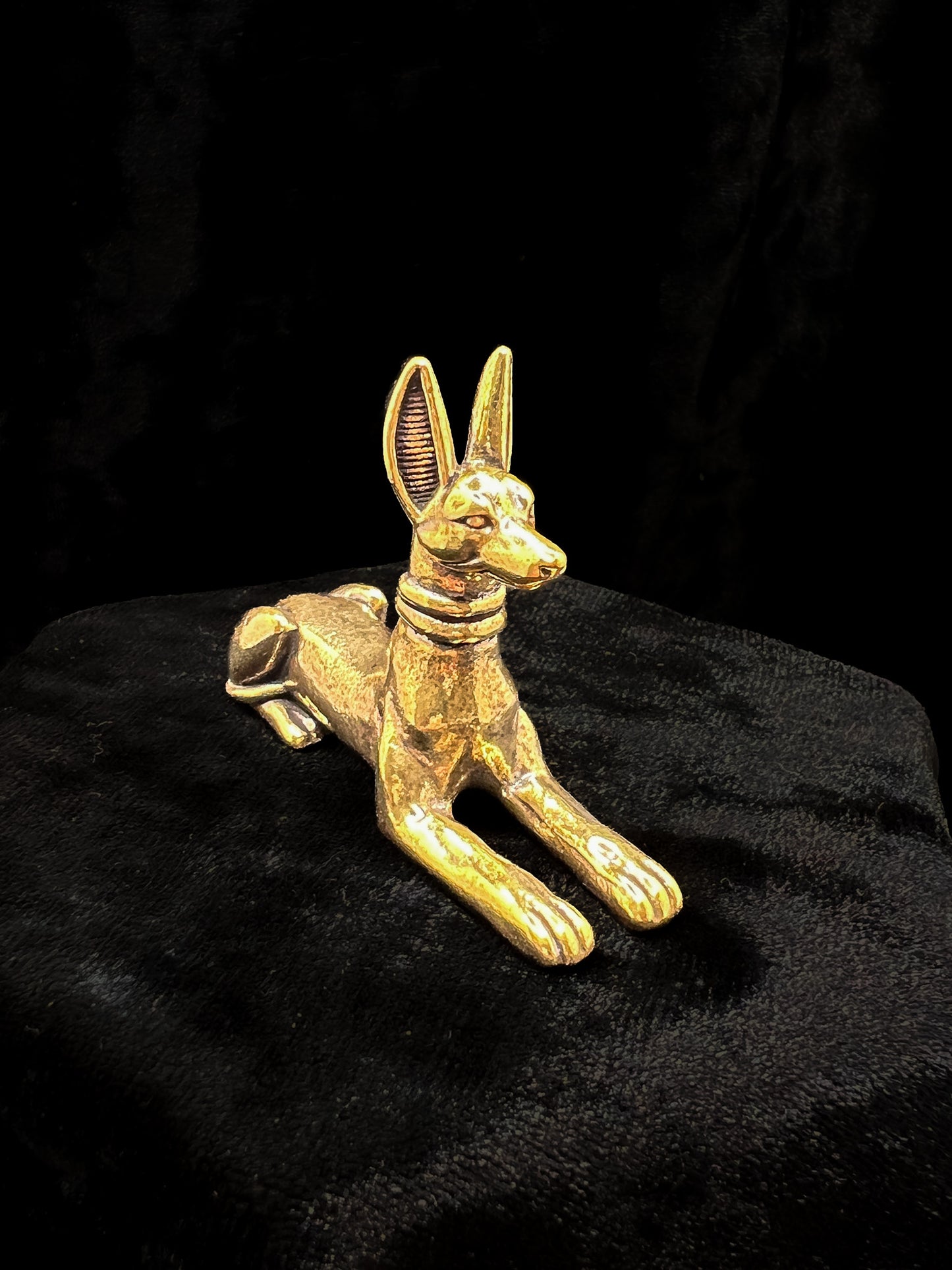 Brass Pharaoh Hound