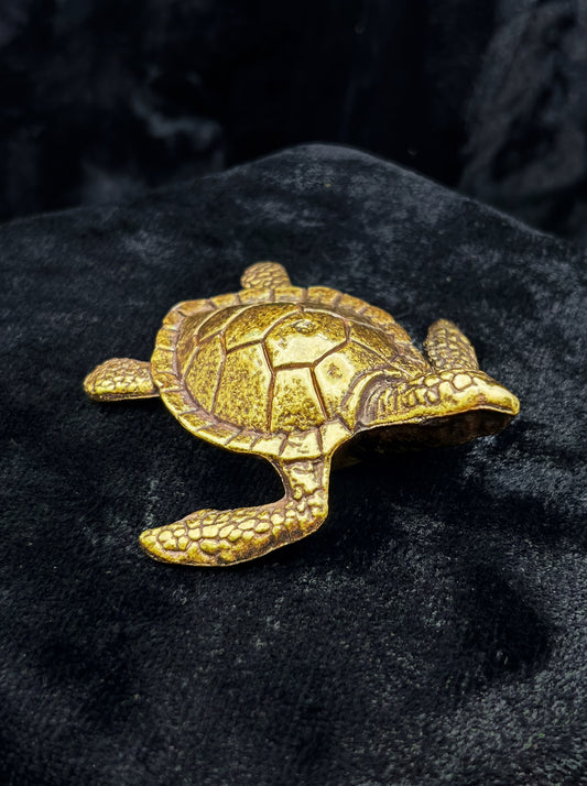 Brass Turtle