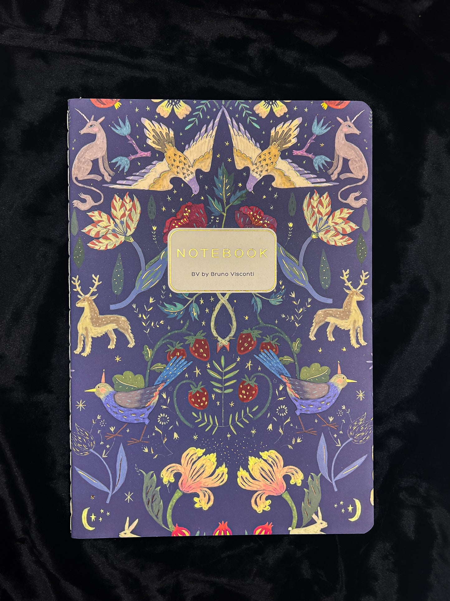 Bruno Viconti Notebook