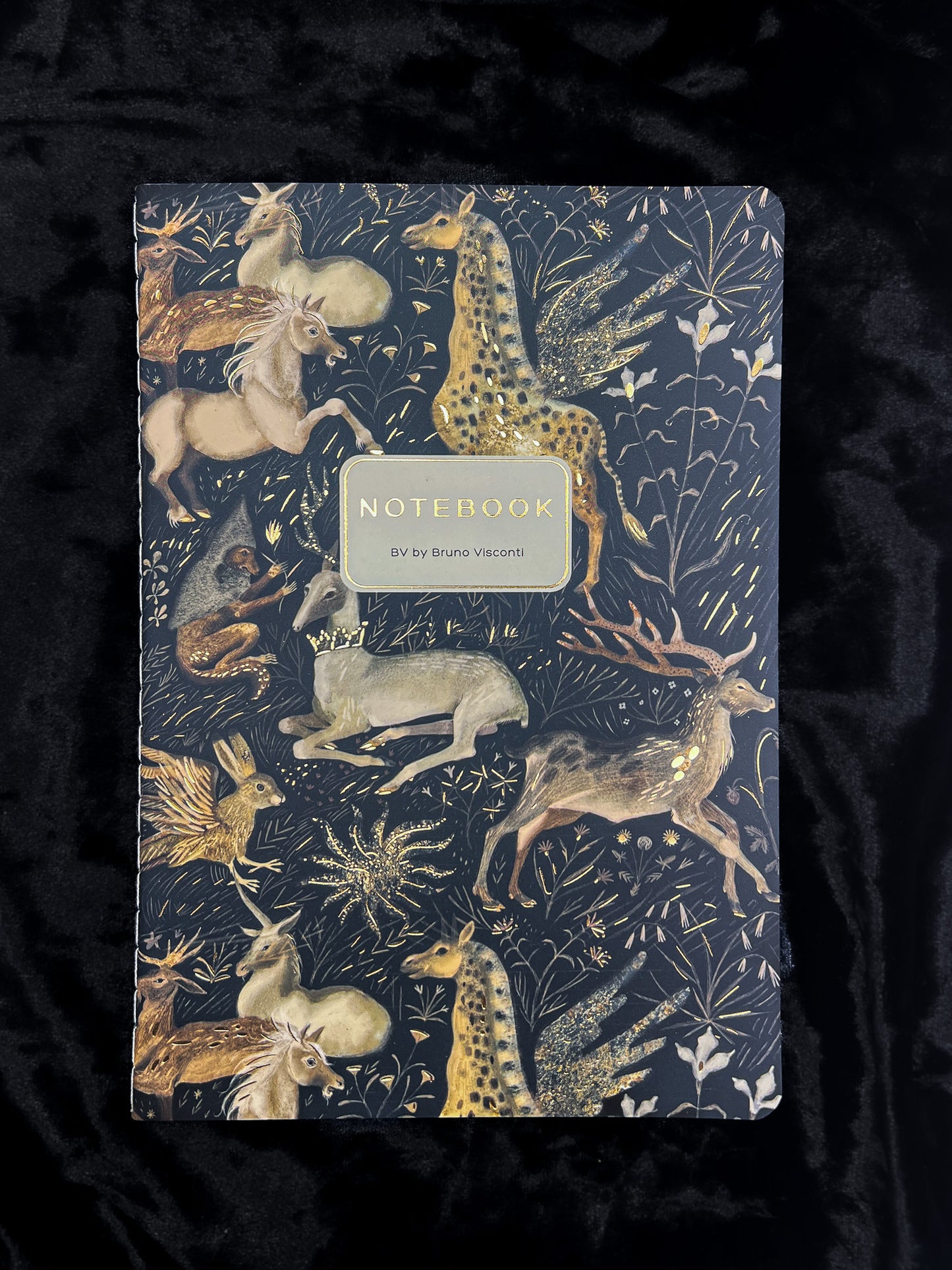 Bruno Viconti Notebook