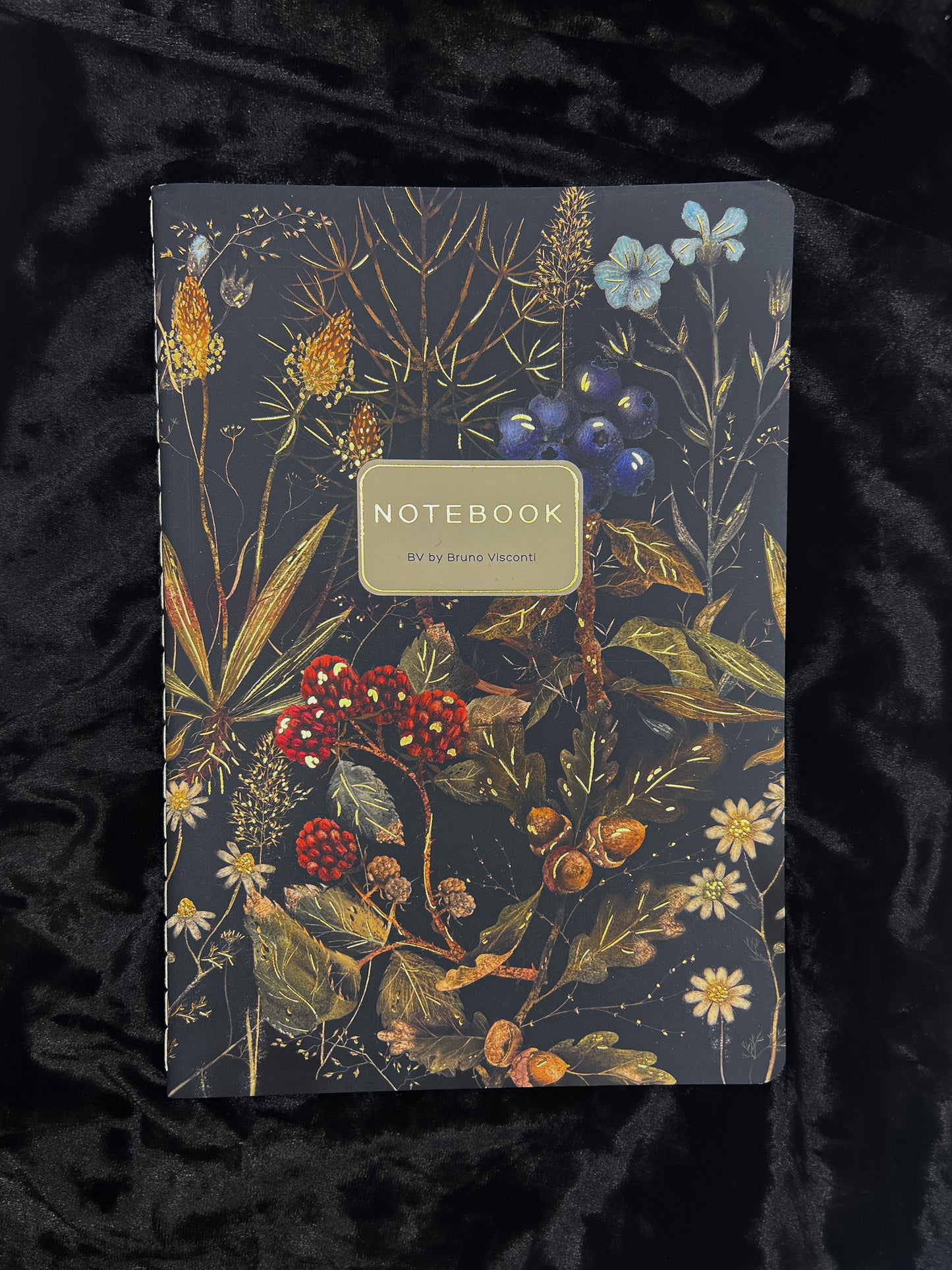 Bruno Viconti Notebook