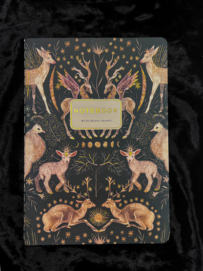 Bruno Viconti Notebook