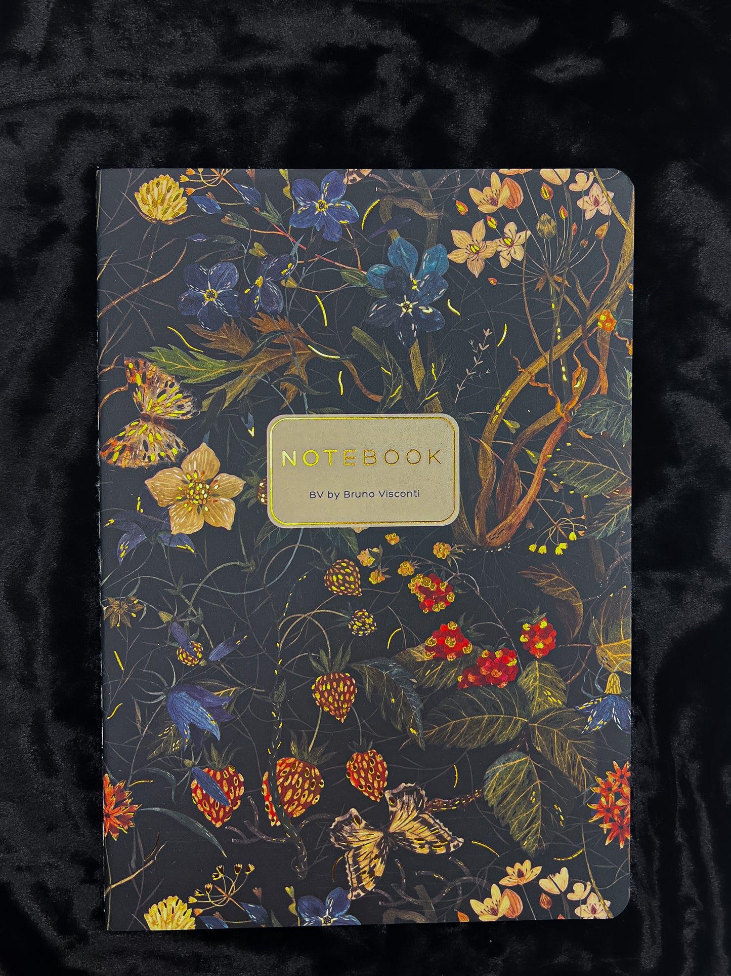 Bruno Viconti Notebook