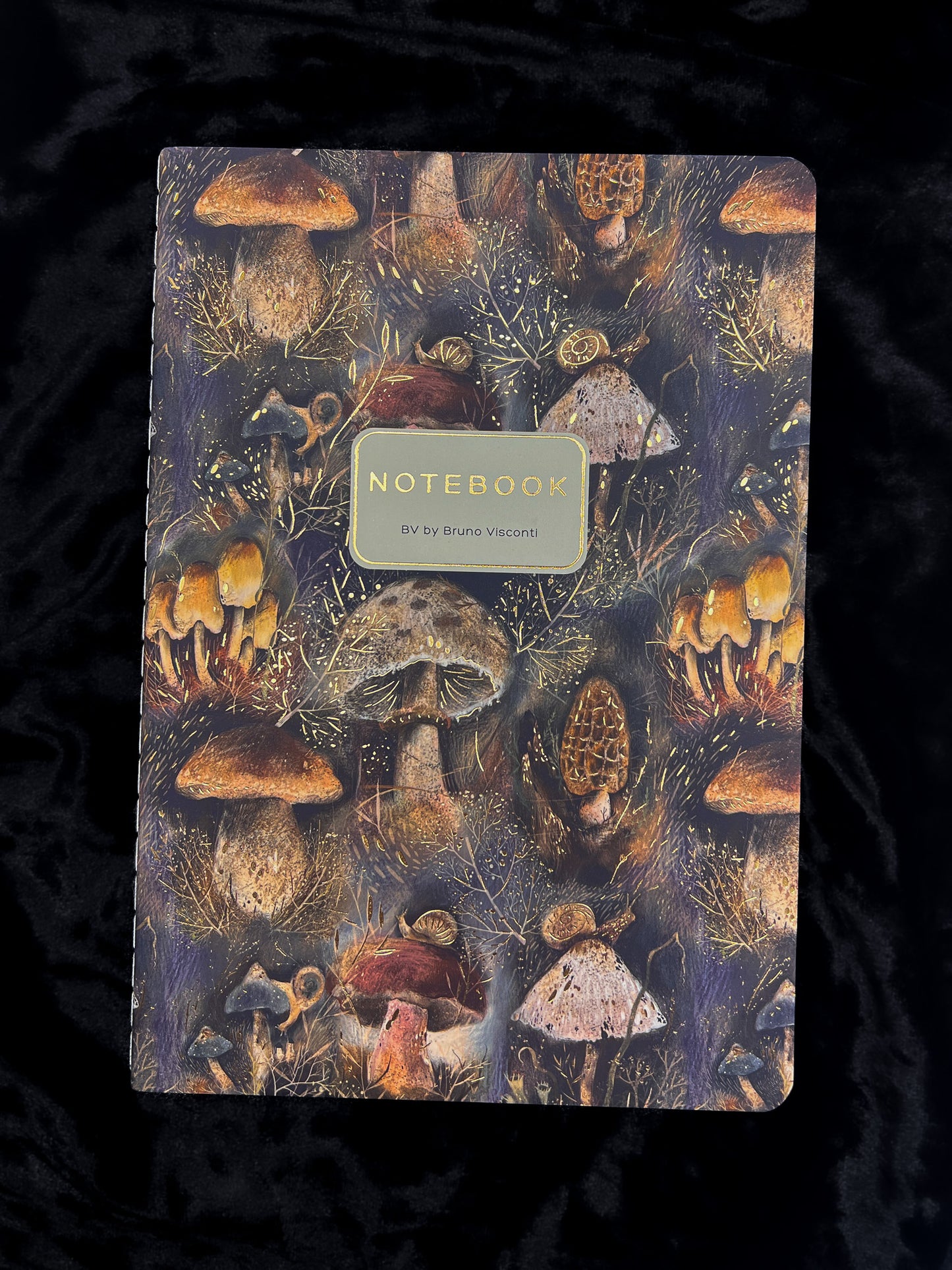 Bruno Viconti Notebook