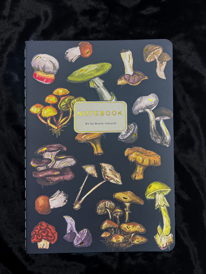 Bruno Viconti Notebook